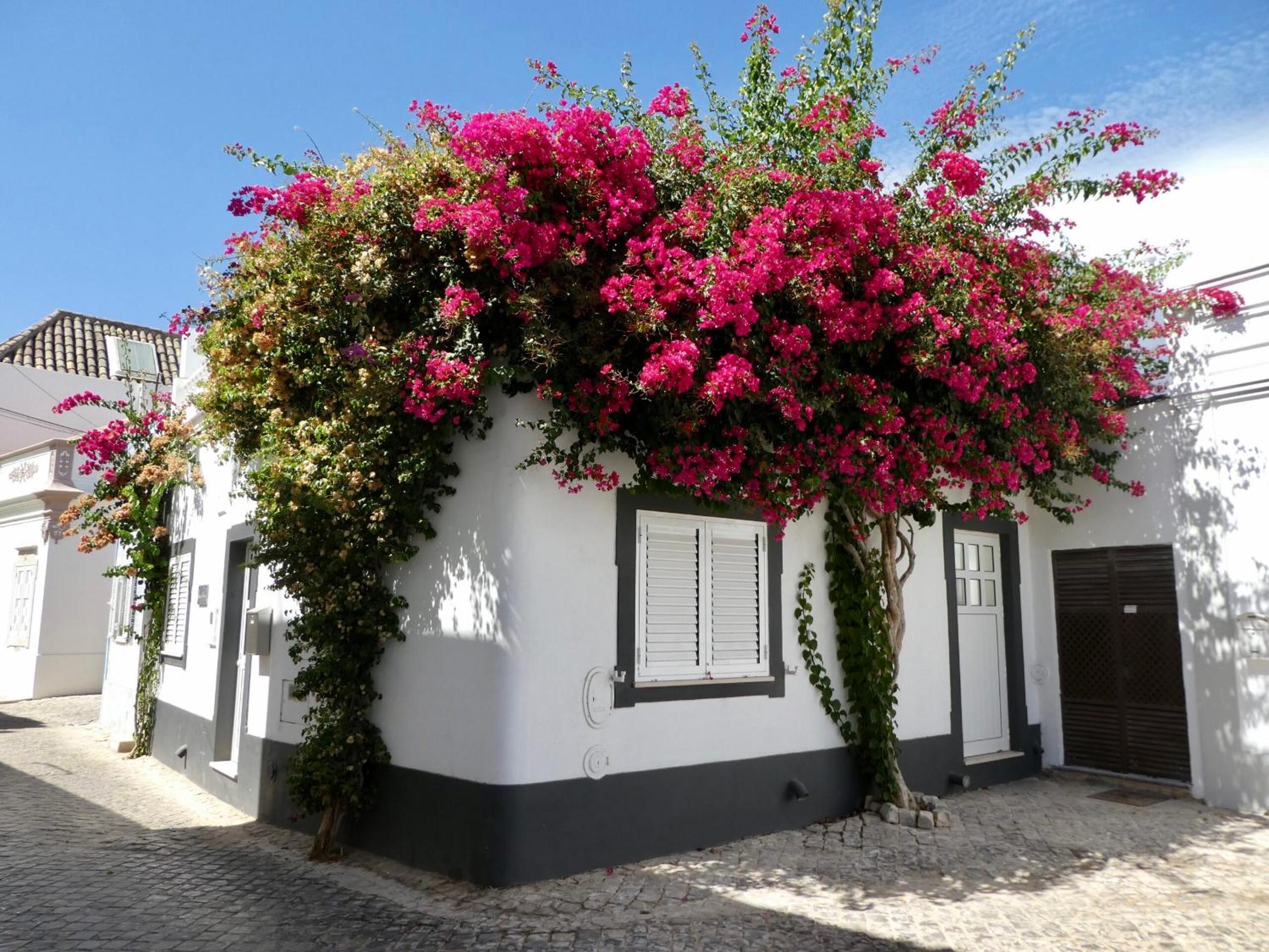 Tavira - Colinas da Boavista view 3
