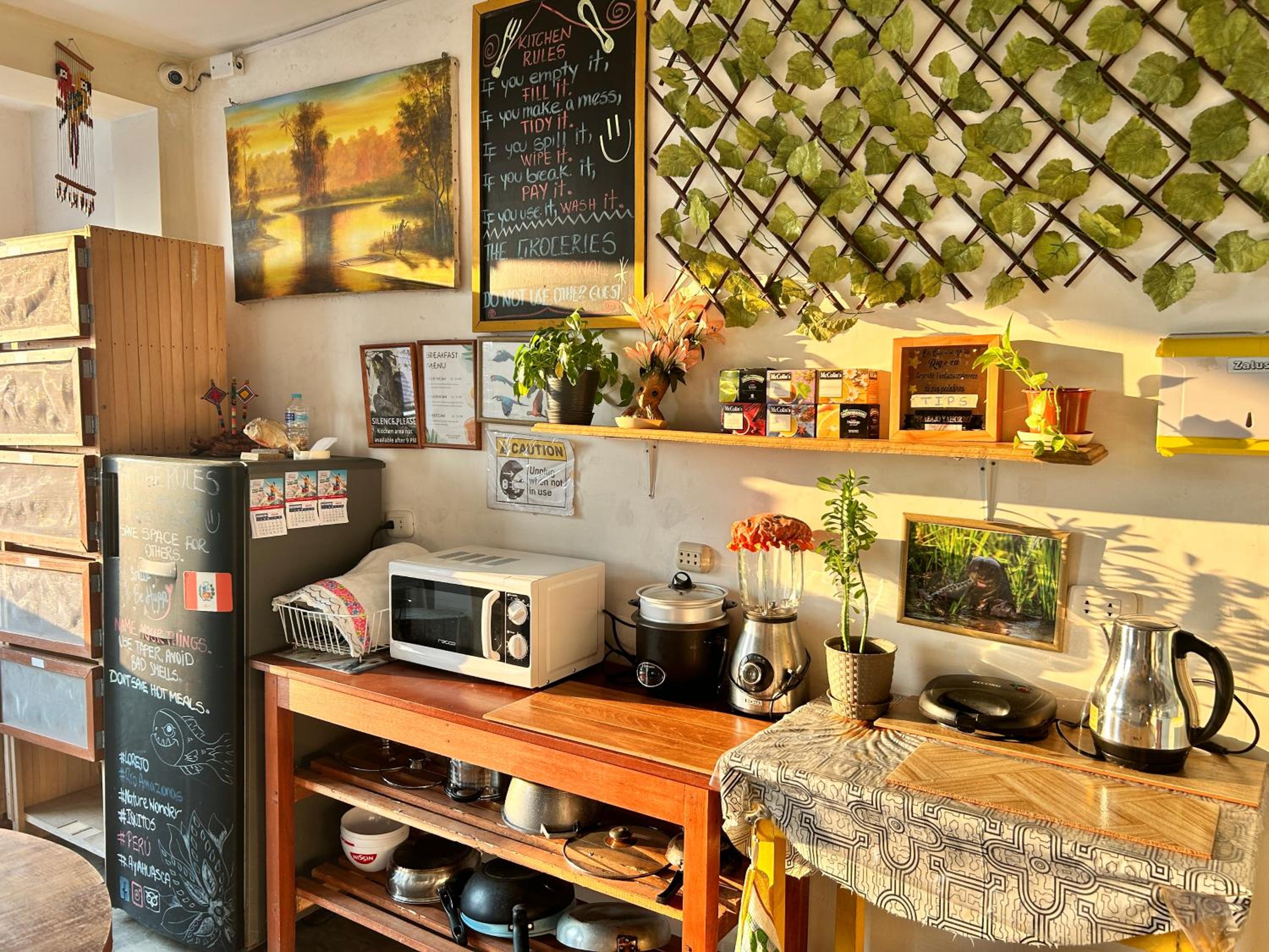 Amazon House Hostel