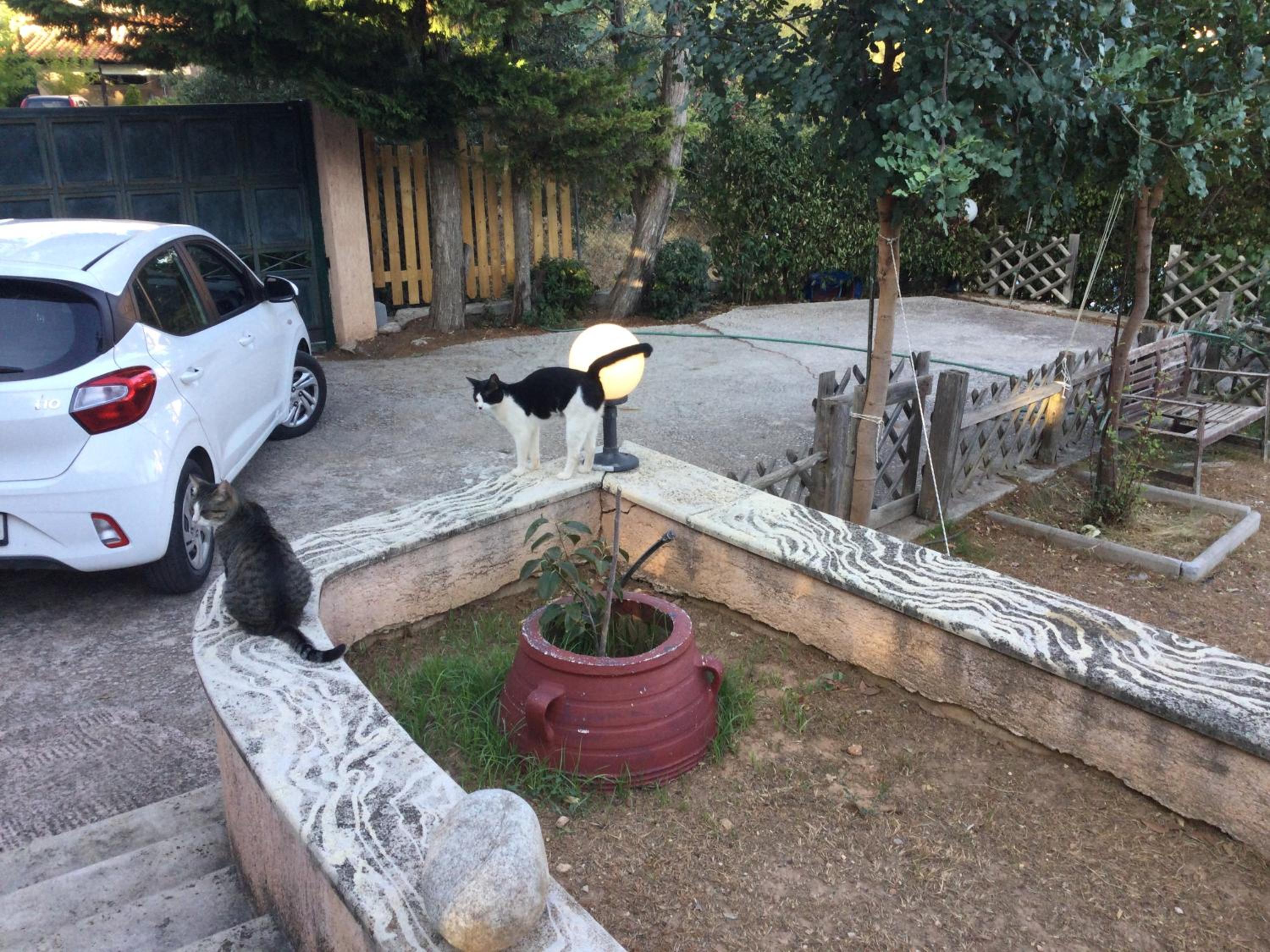 Bio Land Athens