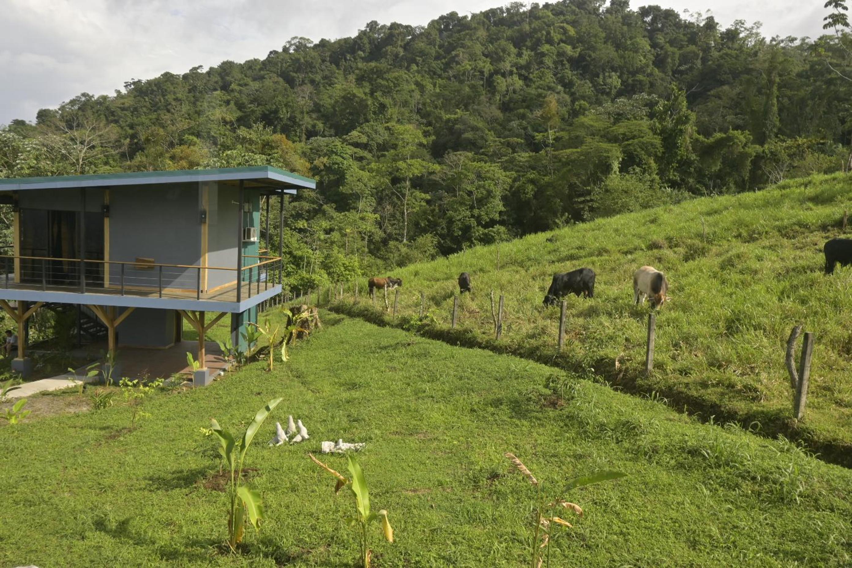 Arenal Hideaway