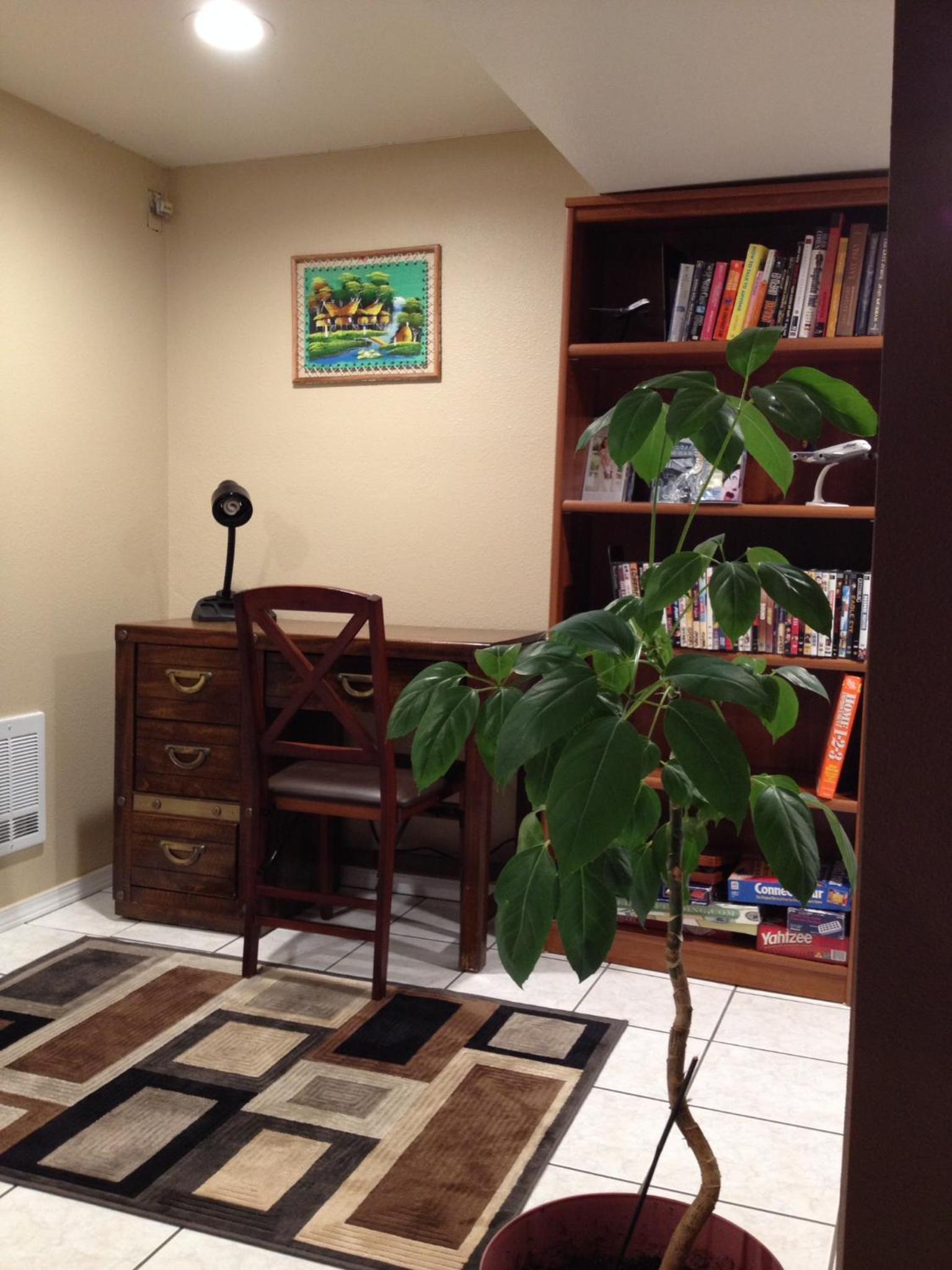 Oasis Hideaway close to downtown Bellevue Square Mall view 5