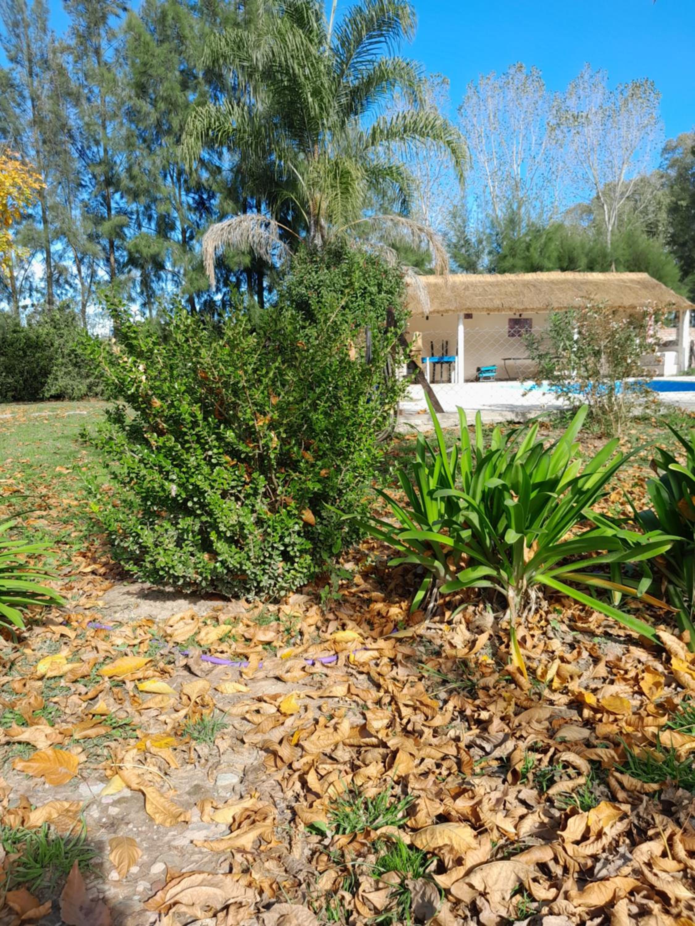 Hotel y Casa de Campo Oasis Campero - Ezeiza Aeropuerto -San Vicente