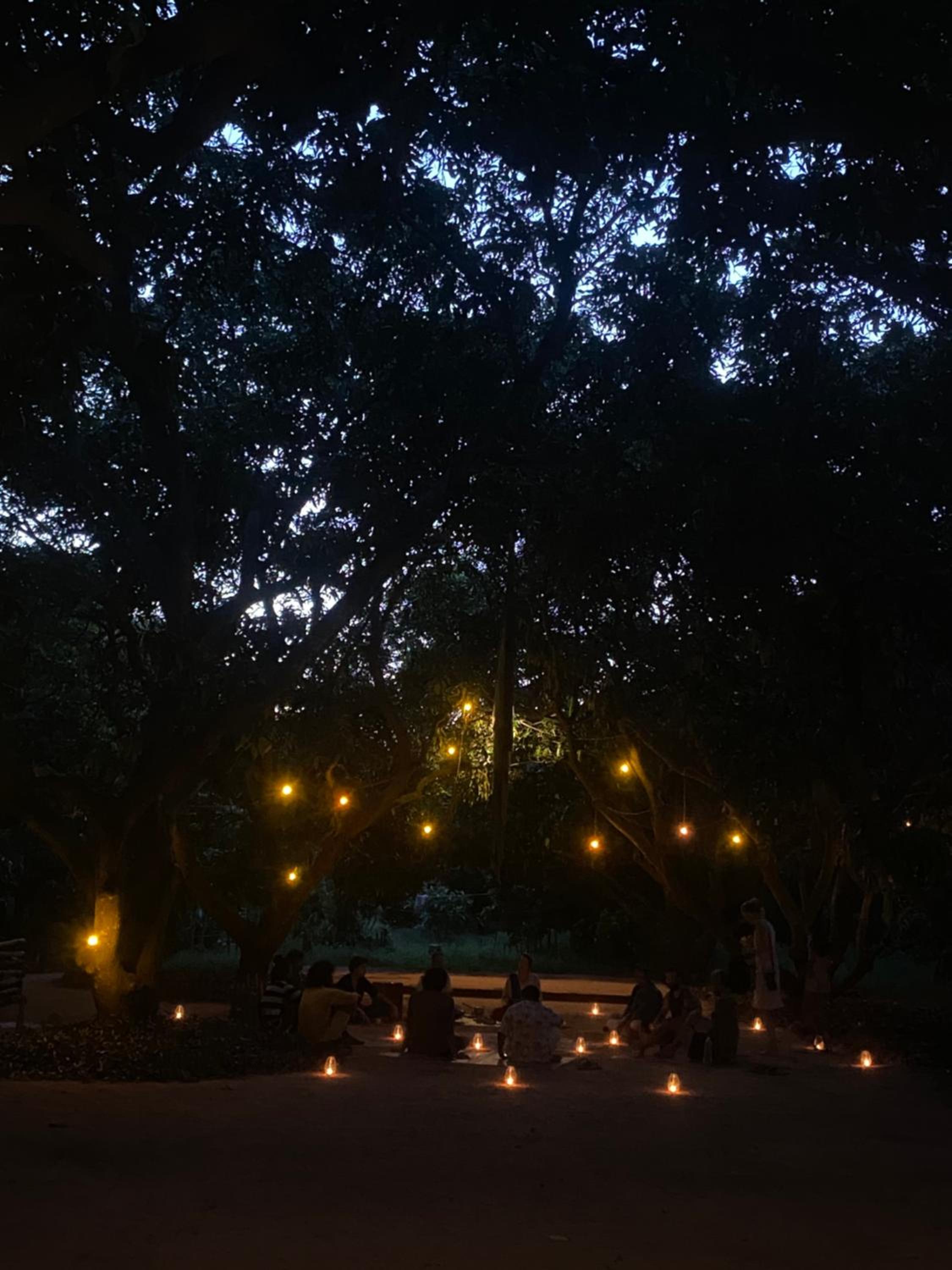 Art Forest