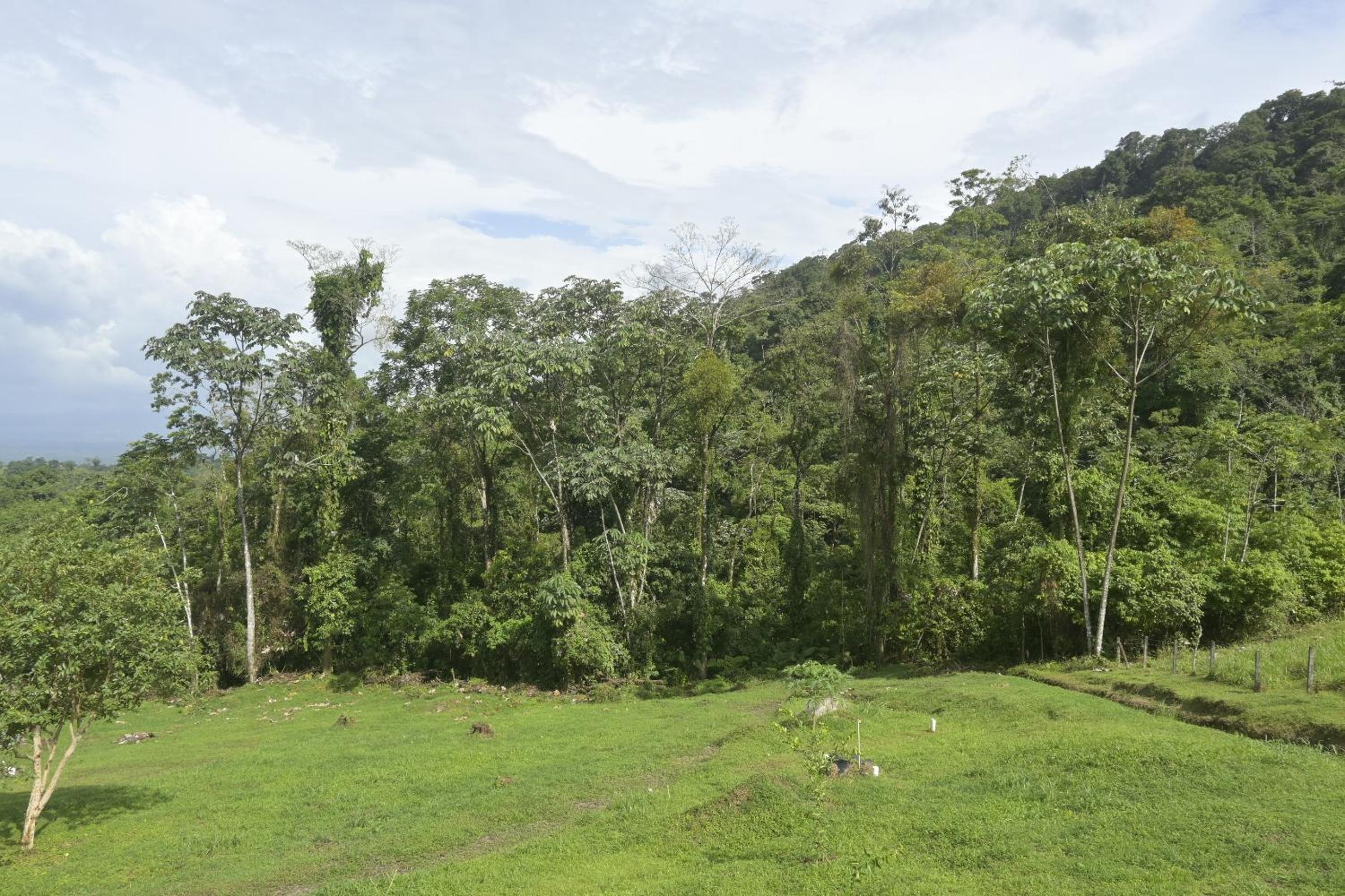 Arenal Hideaway