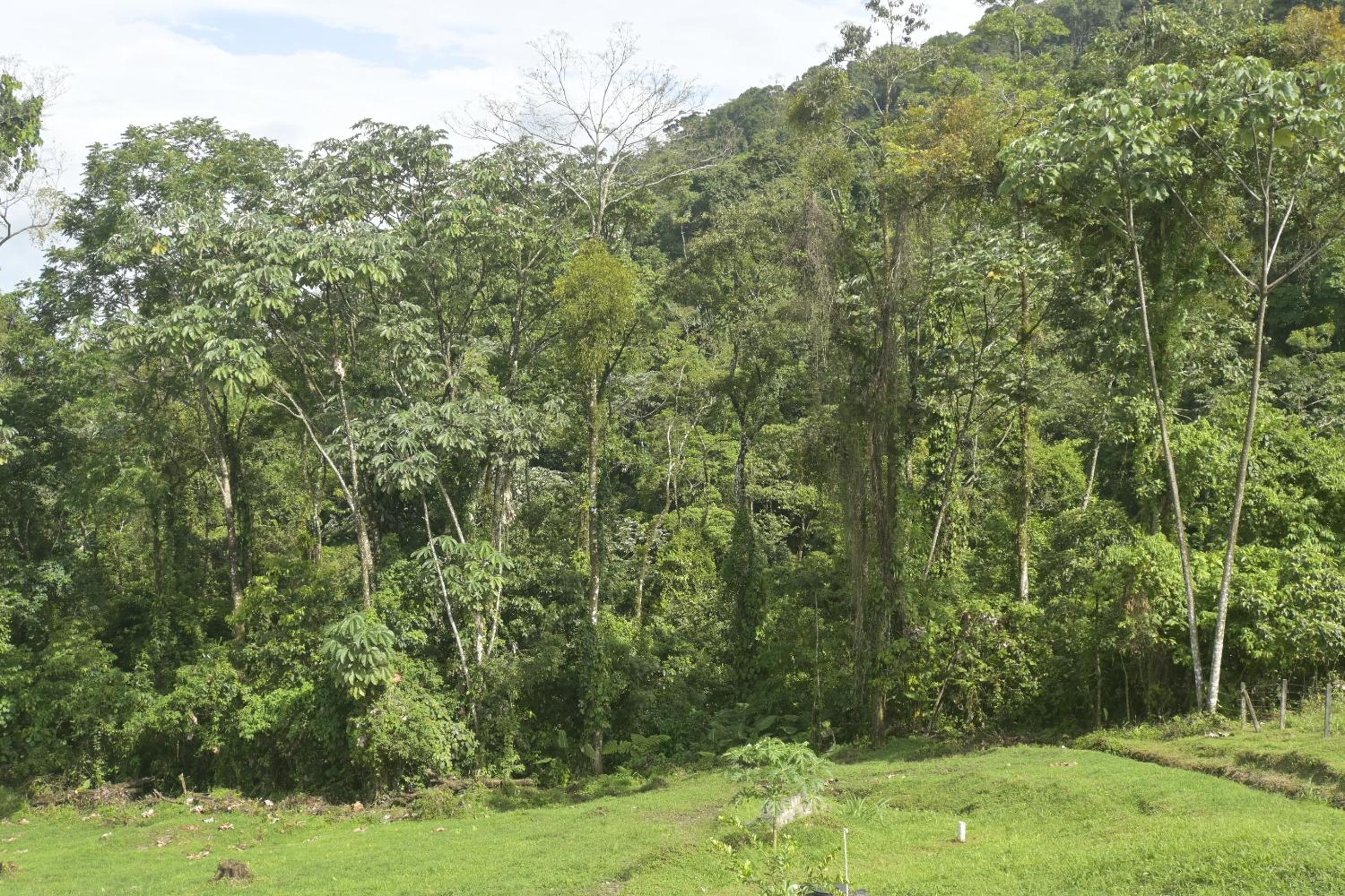 Arenal Hideaway