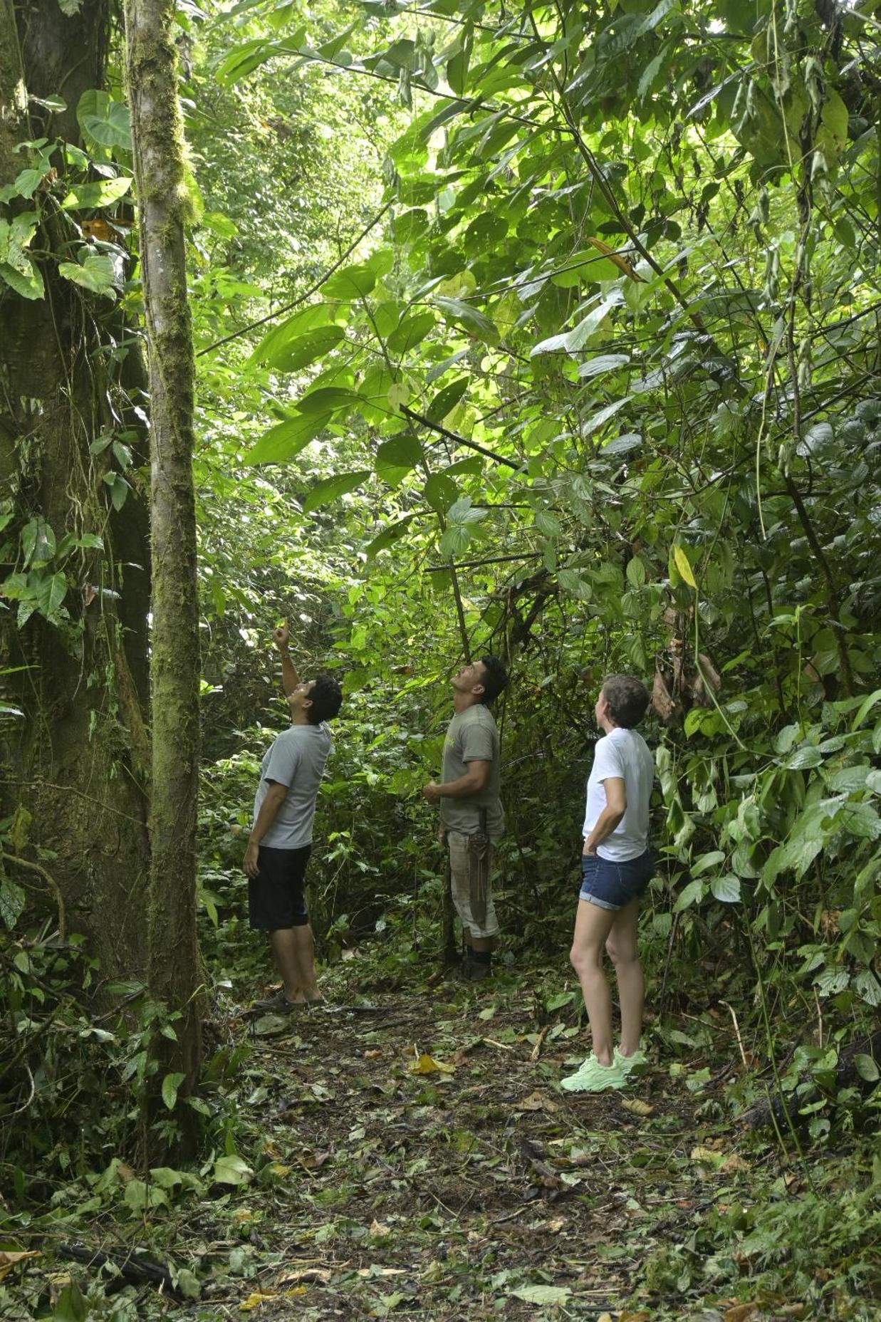 Arenal Hideaway