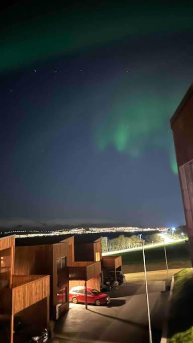 Arctic Aurora Studio I NEW IN 2023