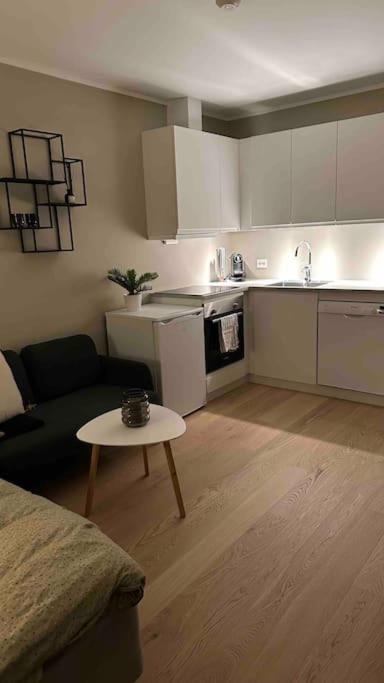 Arctic Aurora Studio I NEW IN 2023