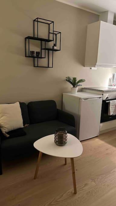 Arctic Aurora Studio I NEW IN 2023