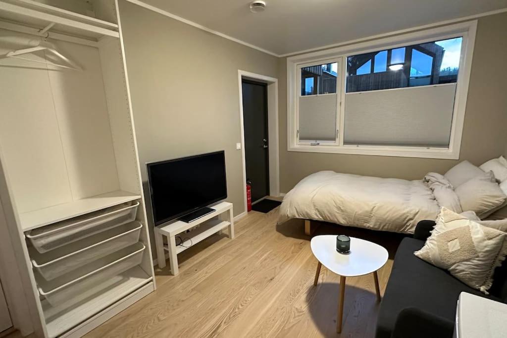 Arctic Aurora Studio I NEW IN 2023