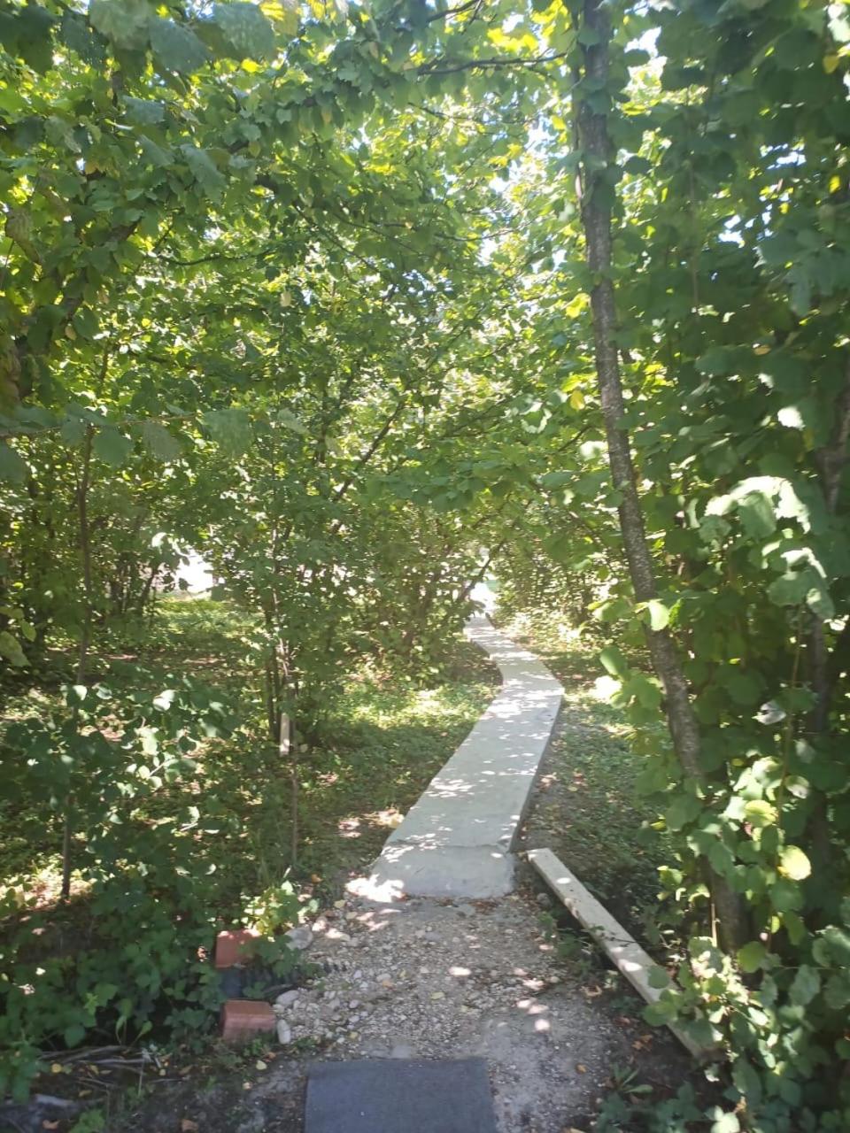 Shahdag Qusar Baku
