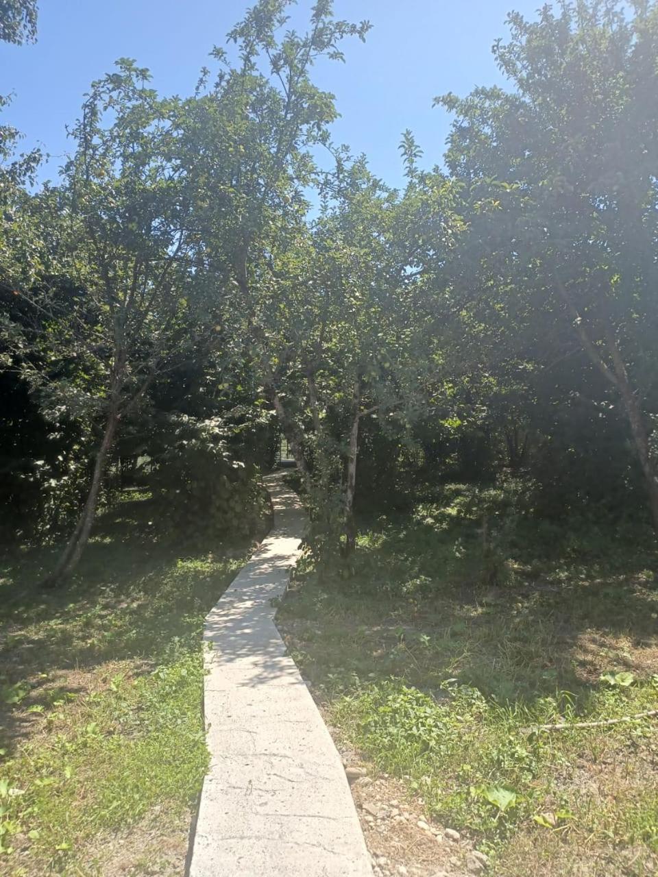 Shahdag Qusar Baku