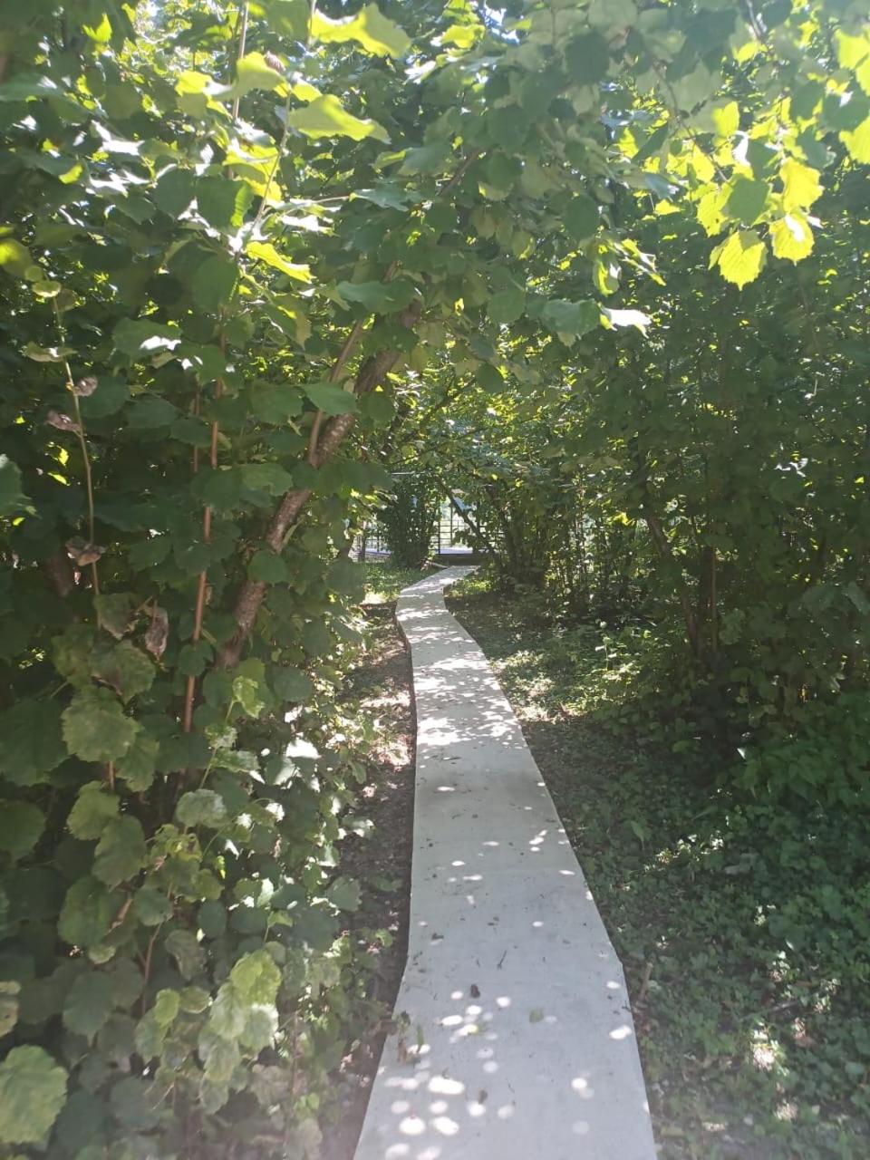 Shahdag Qusar Baku