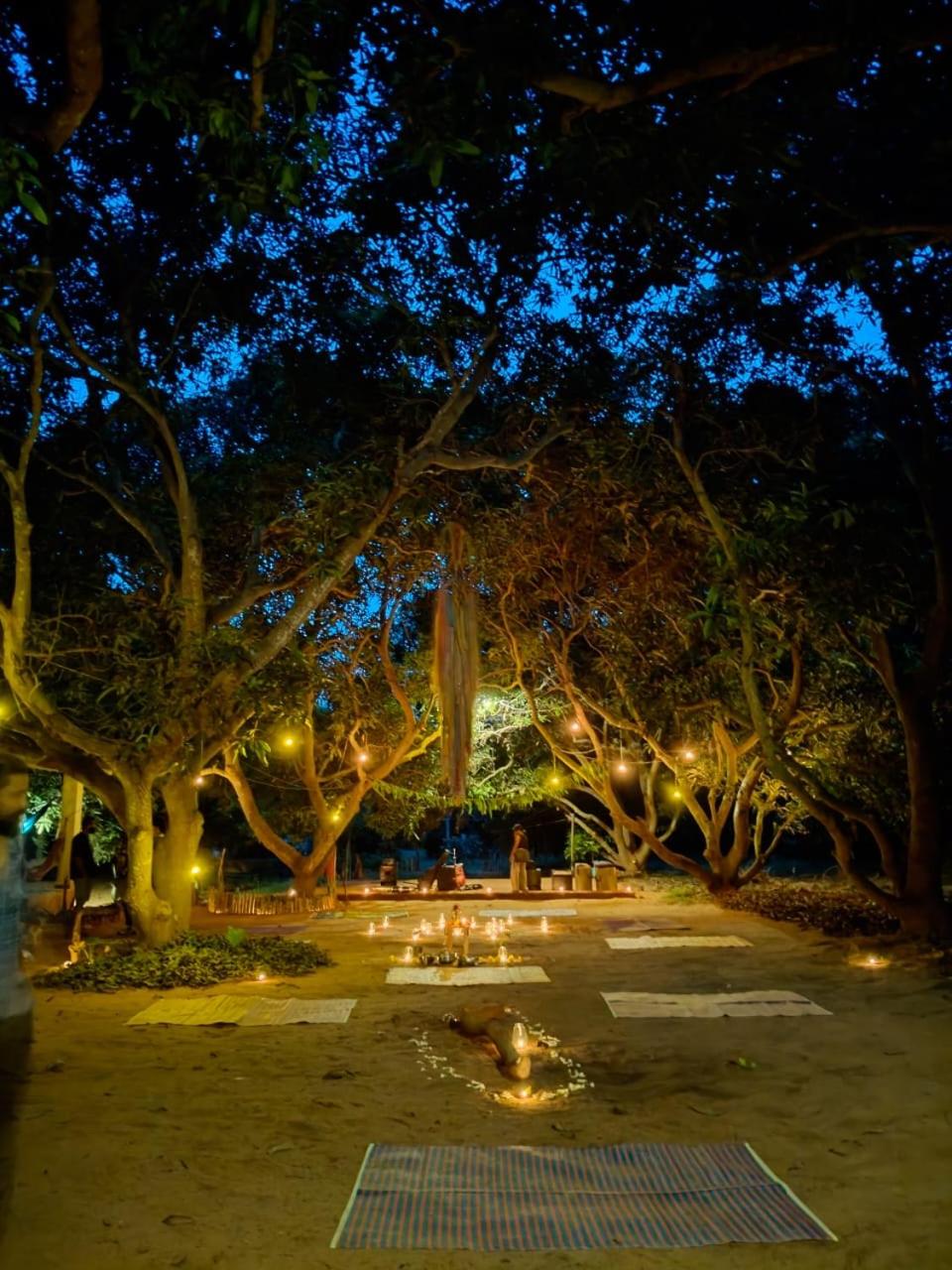 Art Forest