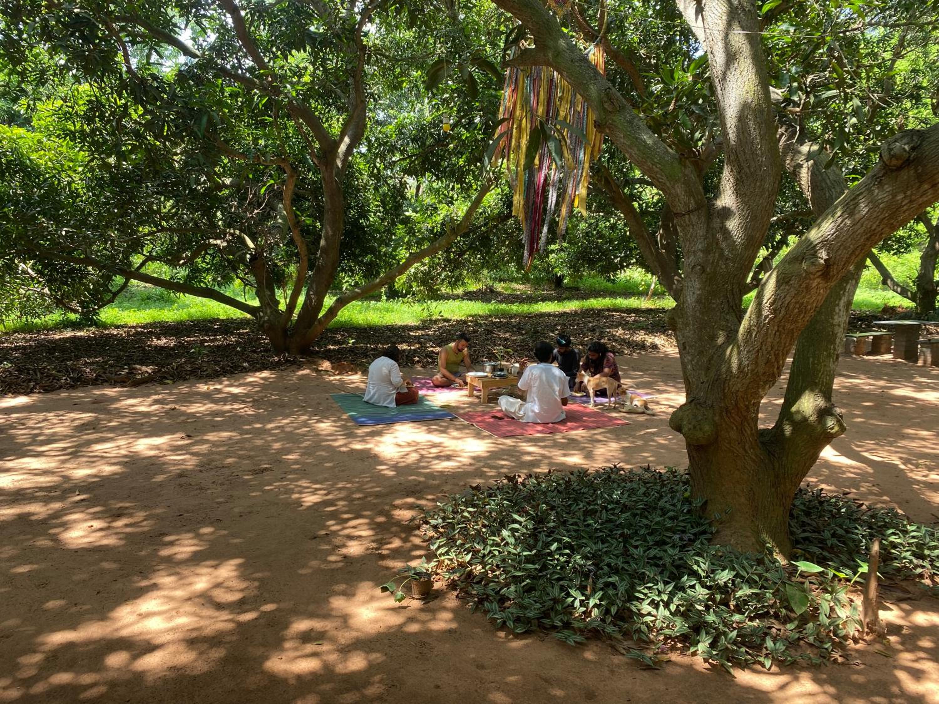 Art Forest