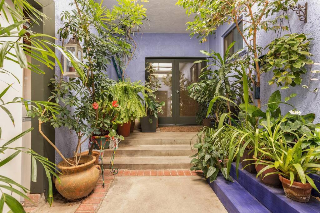 Lovely one bedroom guest house in Encino village