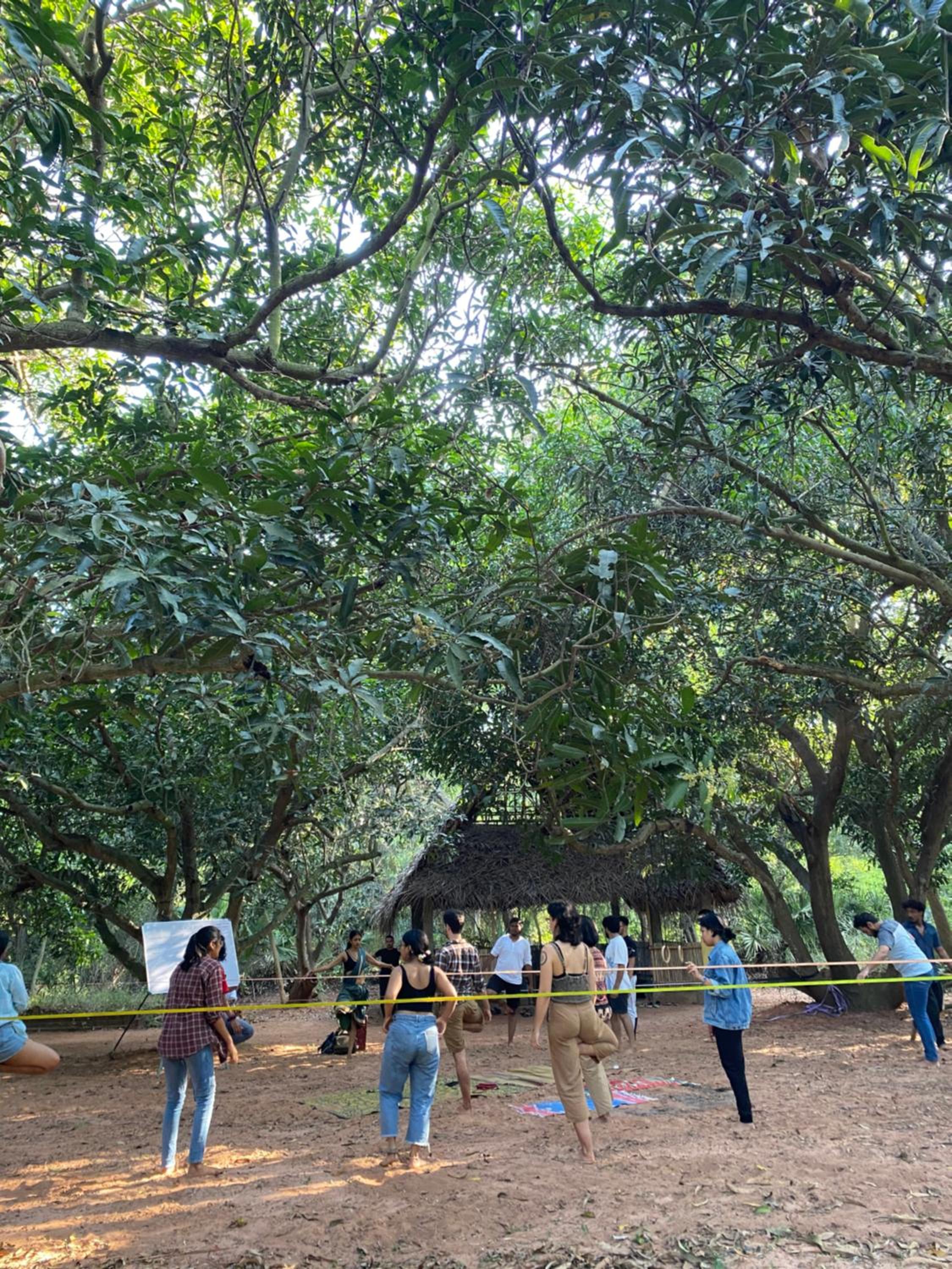 Art Forest