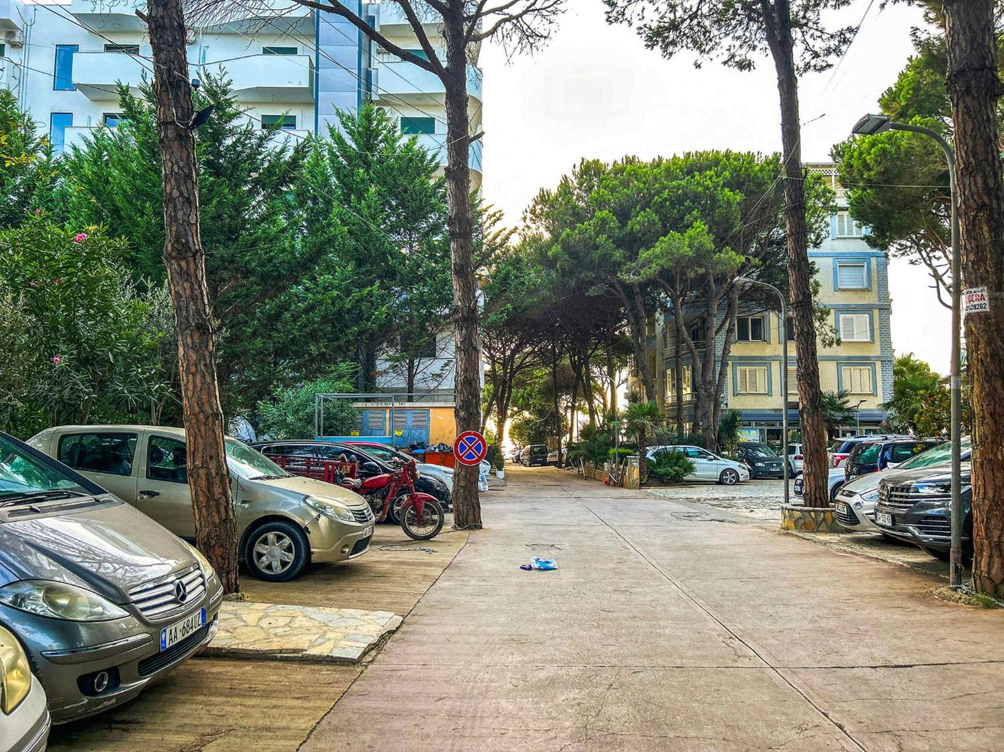 Albanian Dream House 716