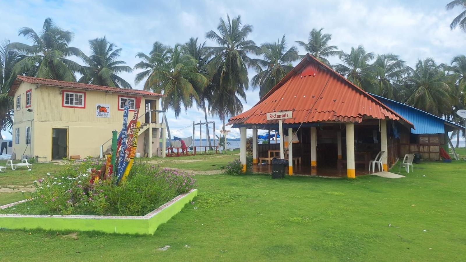 Coconut Paradise