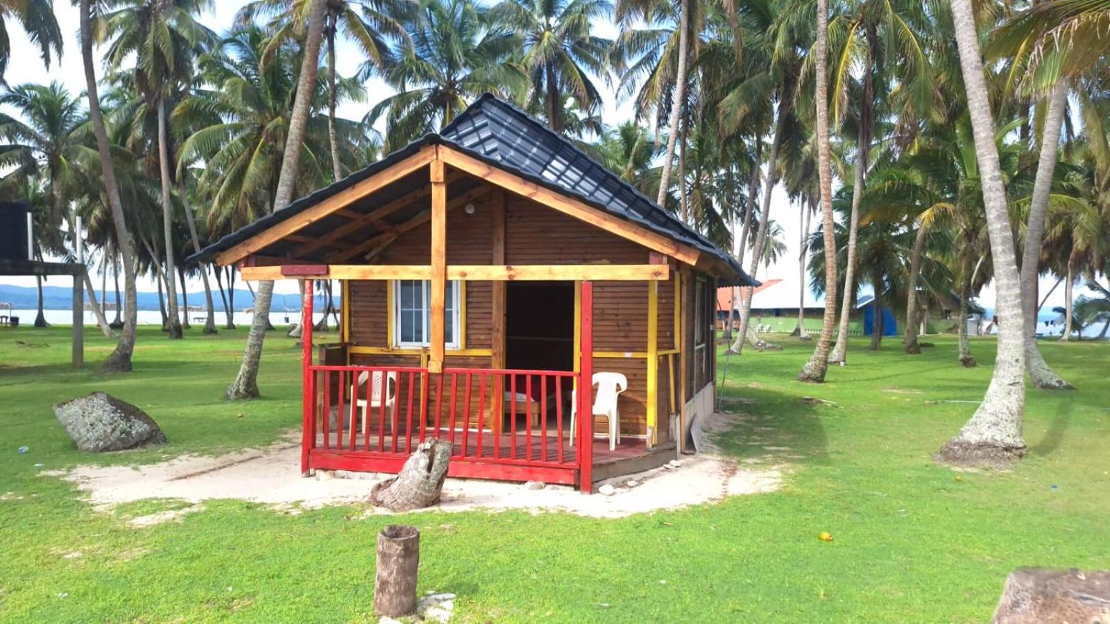 Coconut Paradise