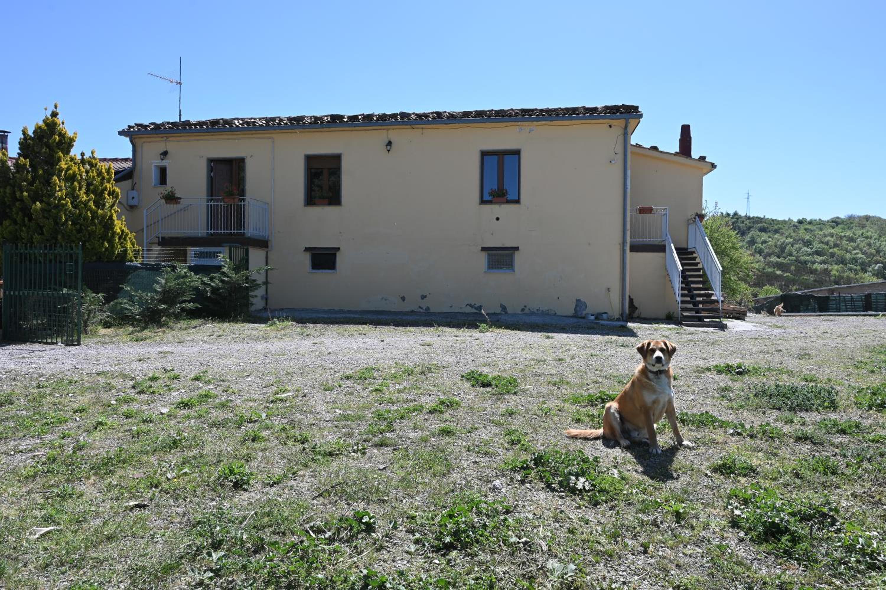 Photo 43