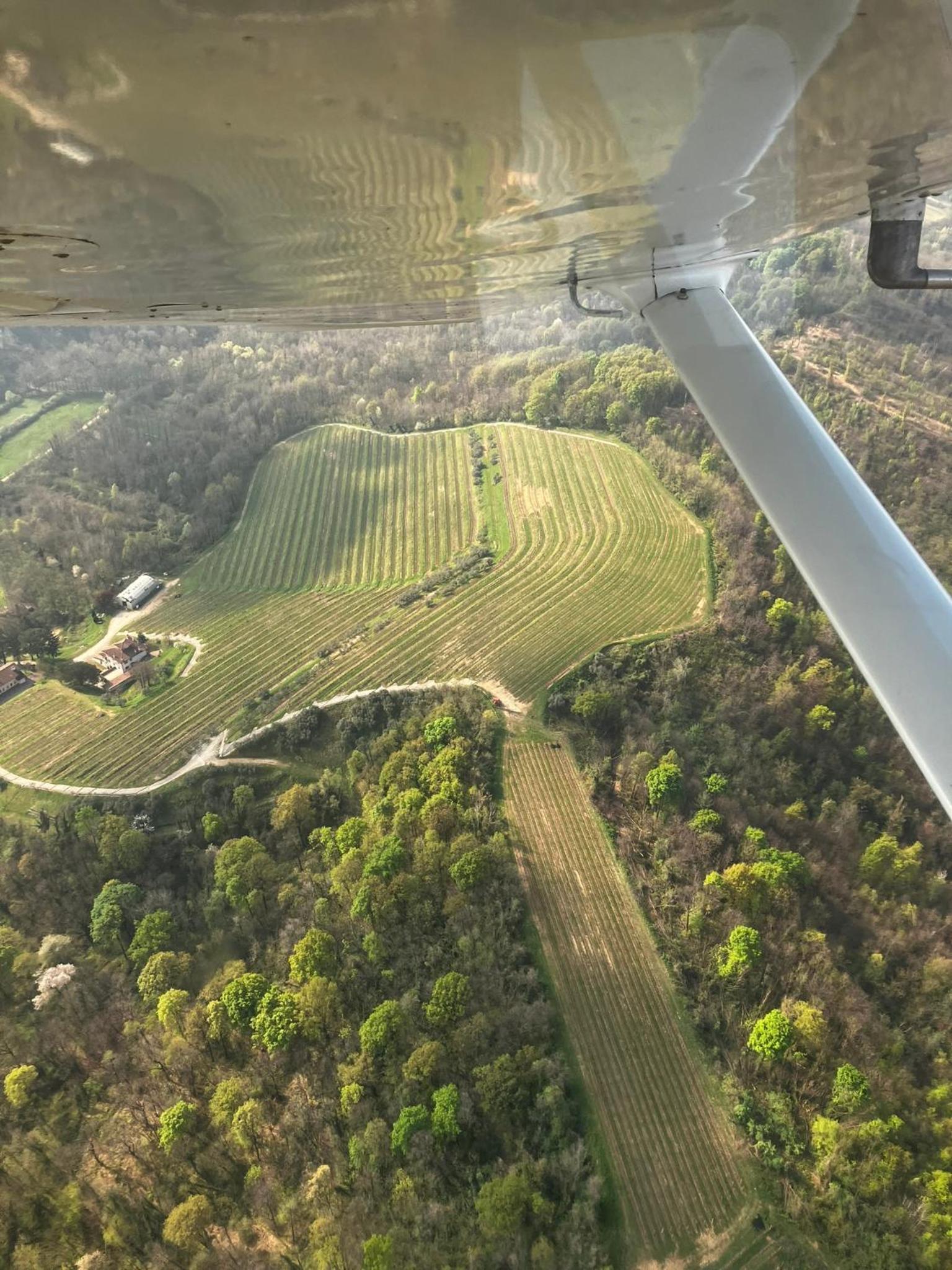 Tenuta Valdomini