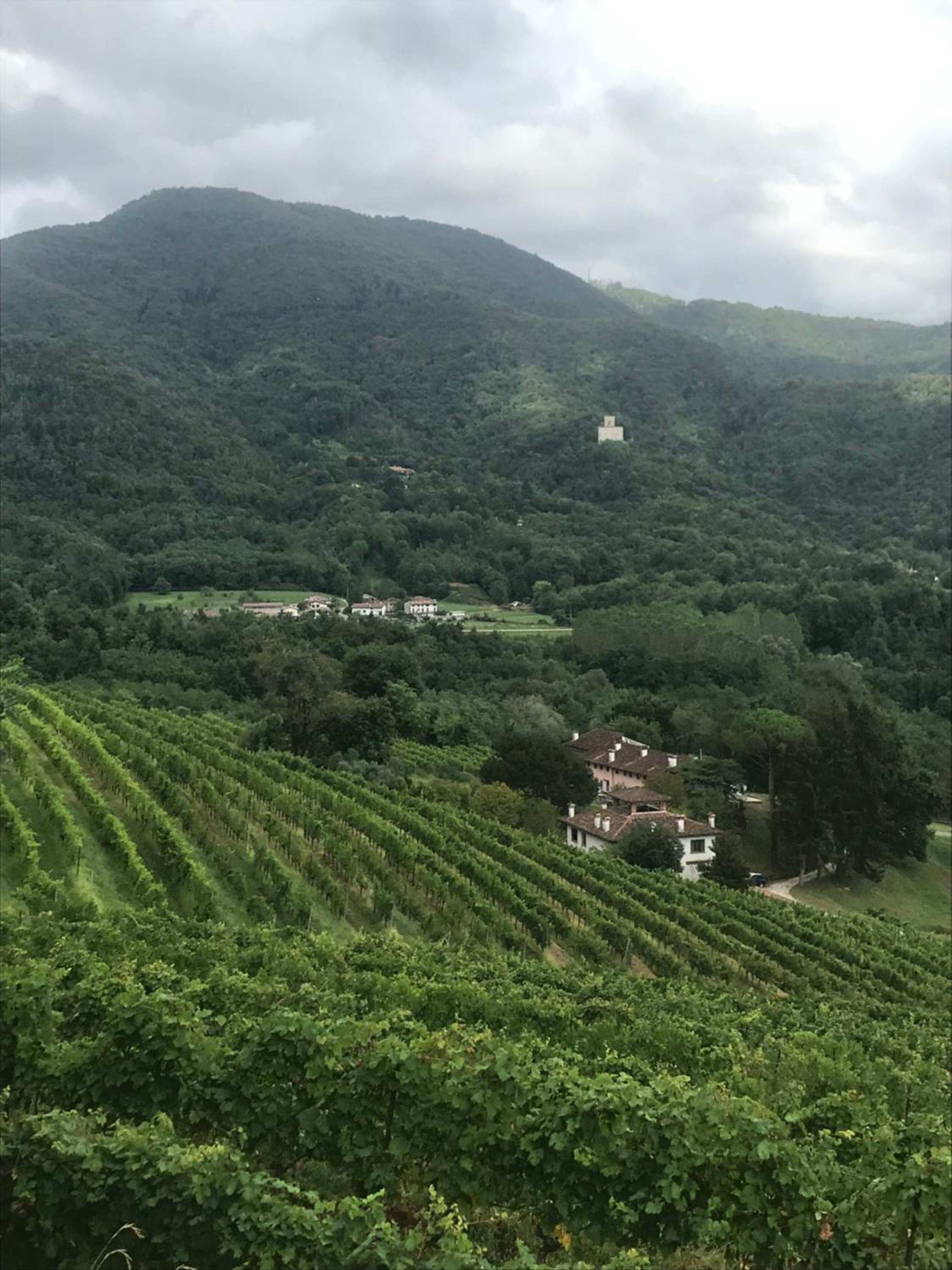 Tenuta Valdomini