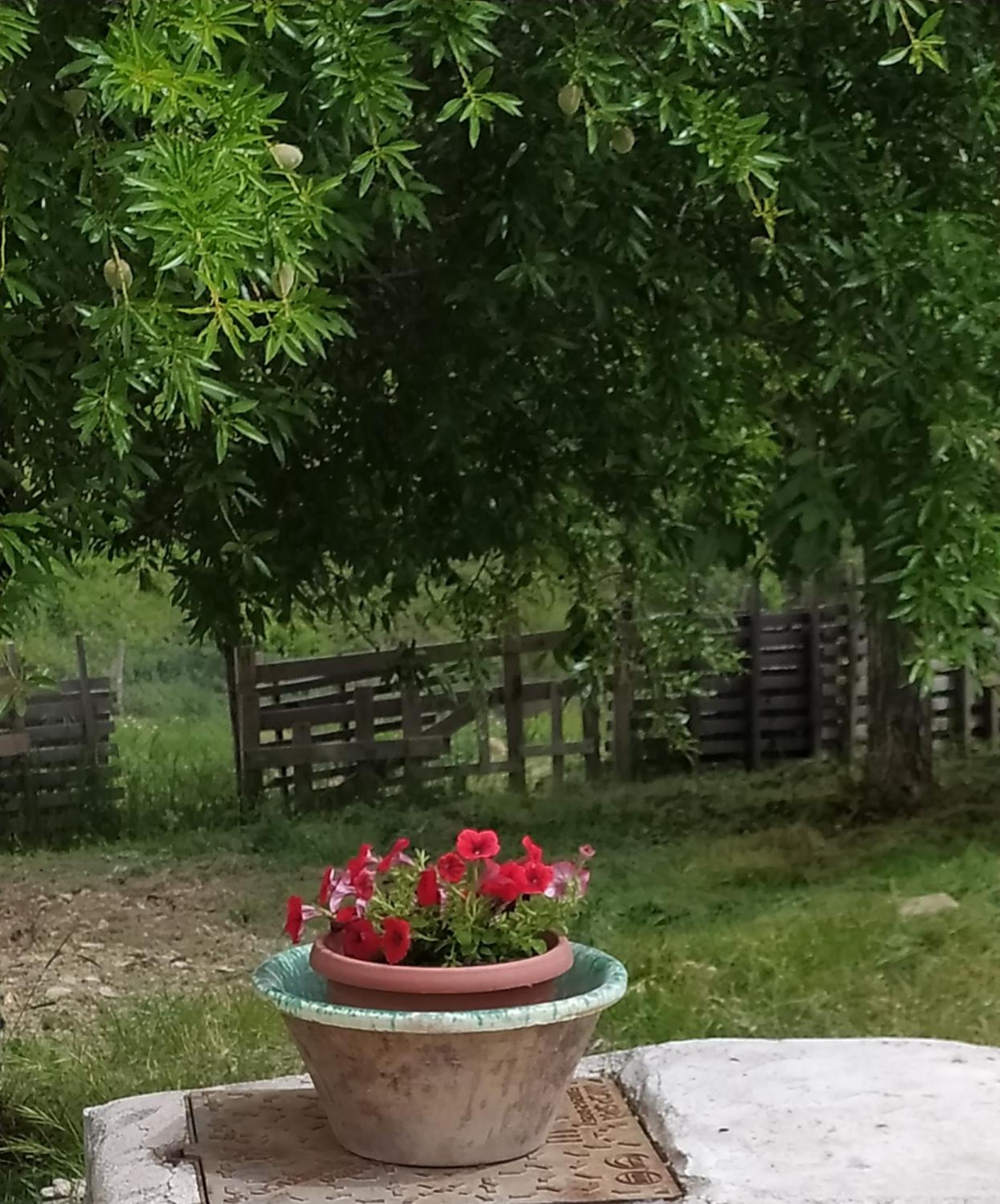 AgriBnB Casa Furnaredda view 3