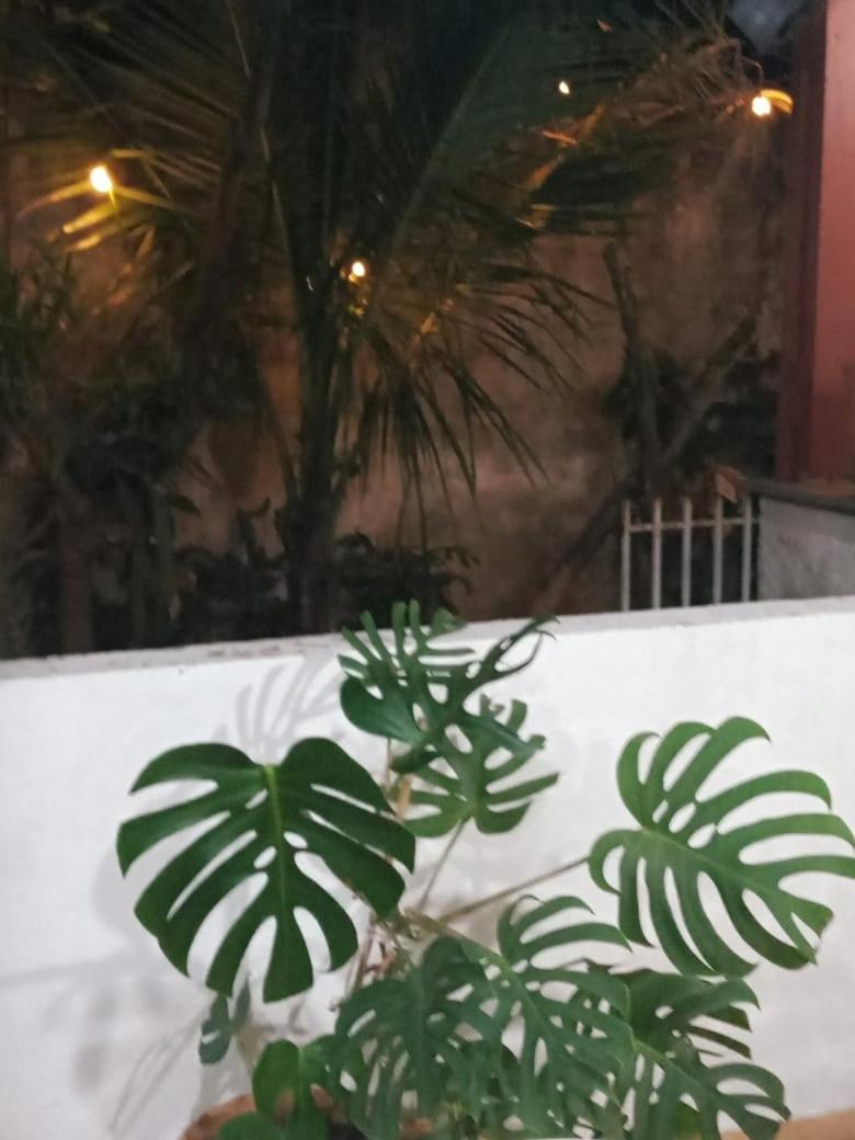 Cantinho do Sossego