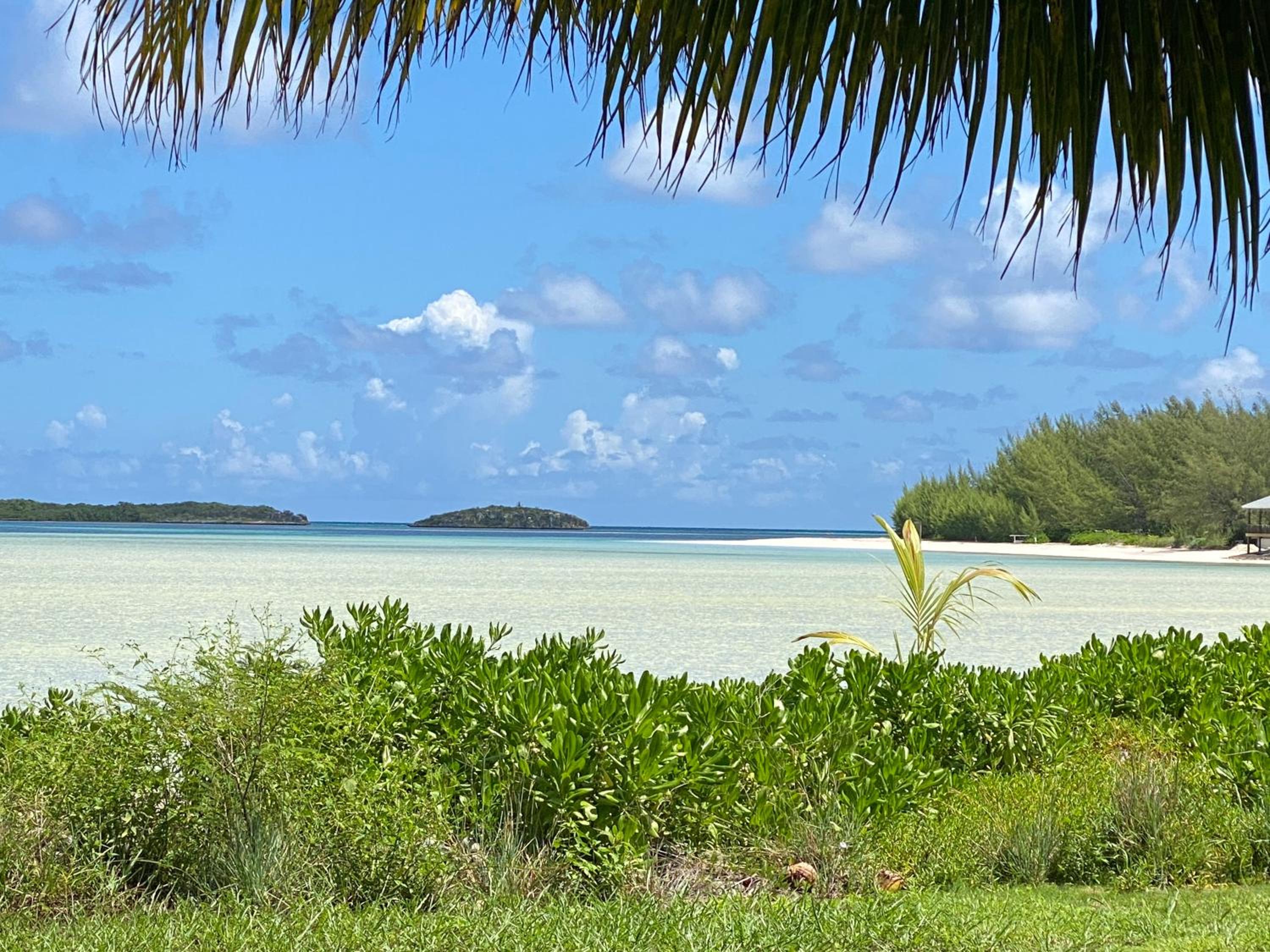 Island Vibe By the Sea