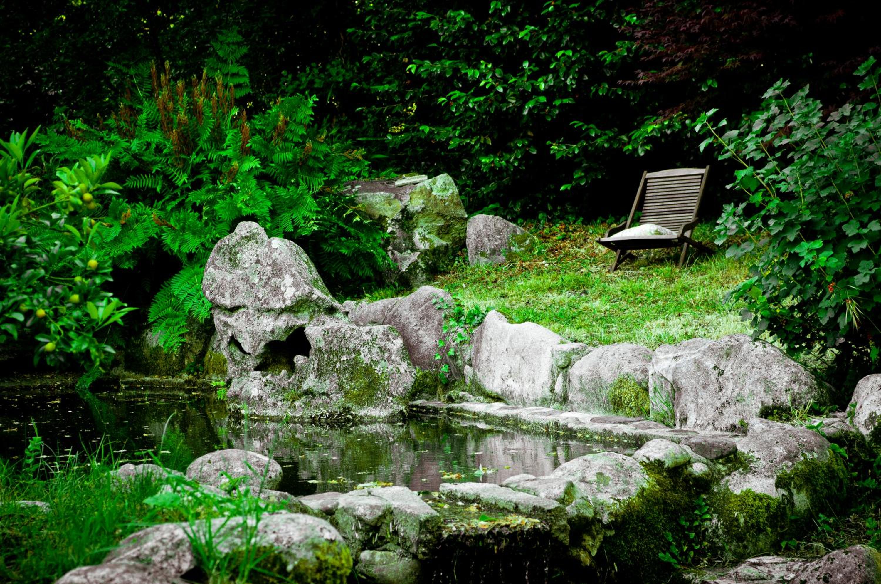 Photo 40