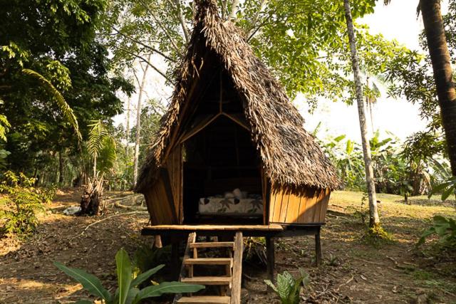 Jungle Cabin - Satori Natural
