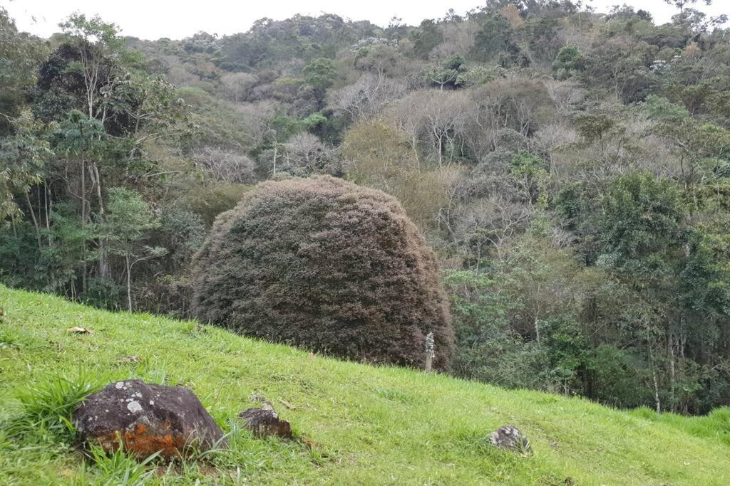 Chalé aconchegante com lareira fogueira e natureza