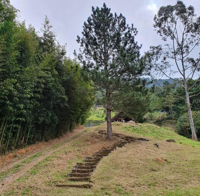 Chalé aconchegante com lareira fogueira e natureza