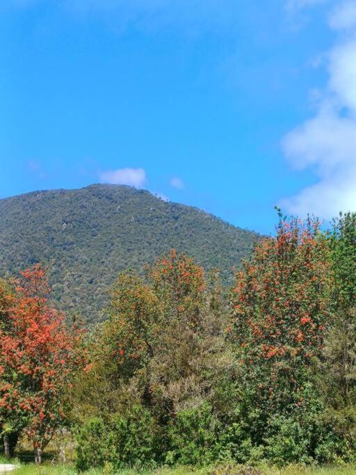 Casa Babia - Sector de Correntoso