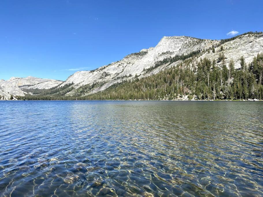Photo 46