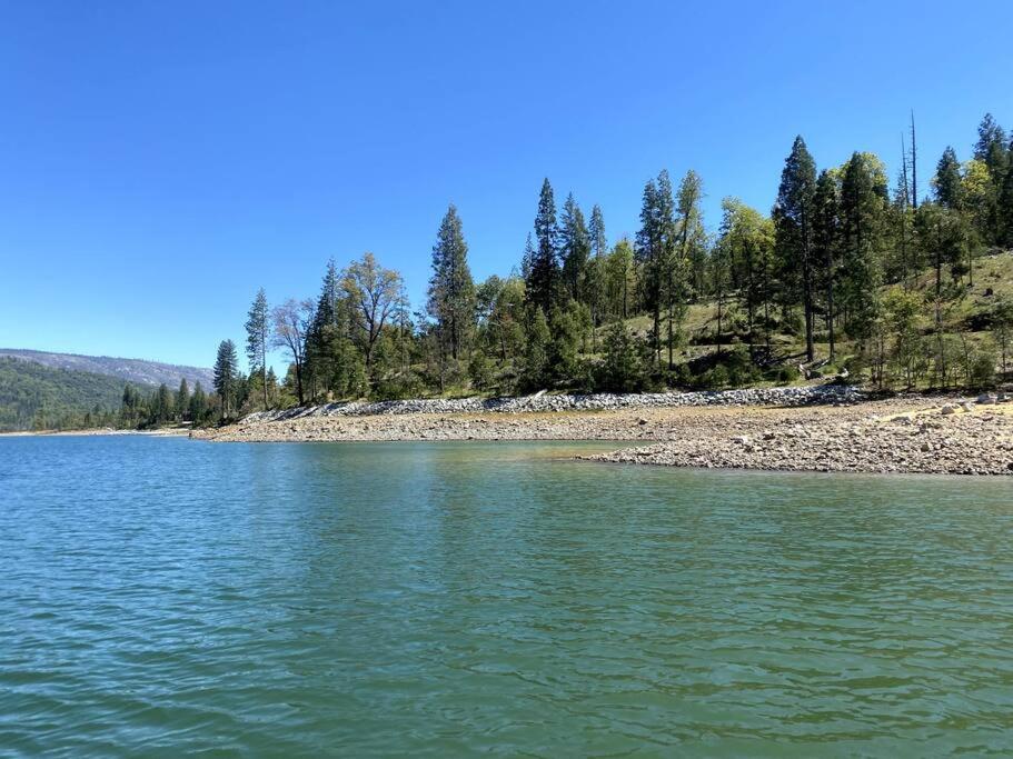 Photo 48