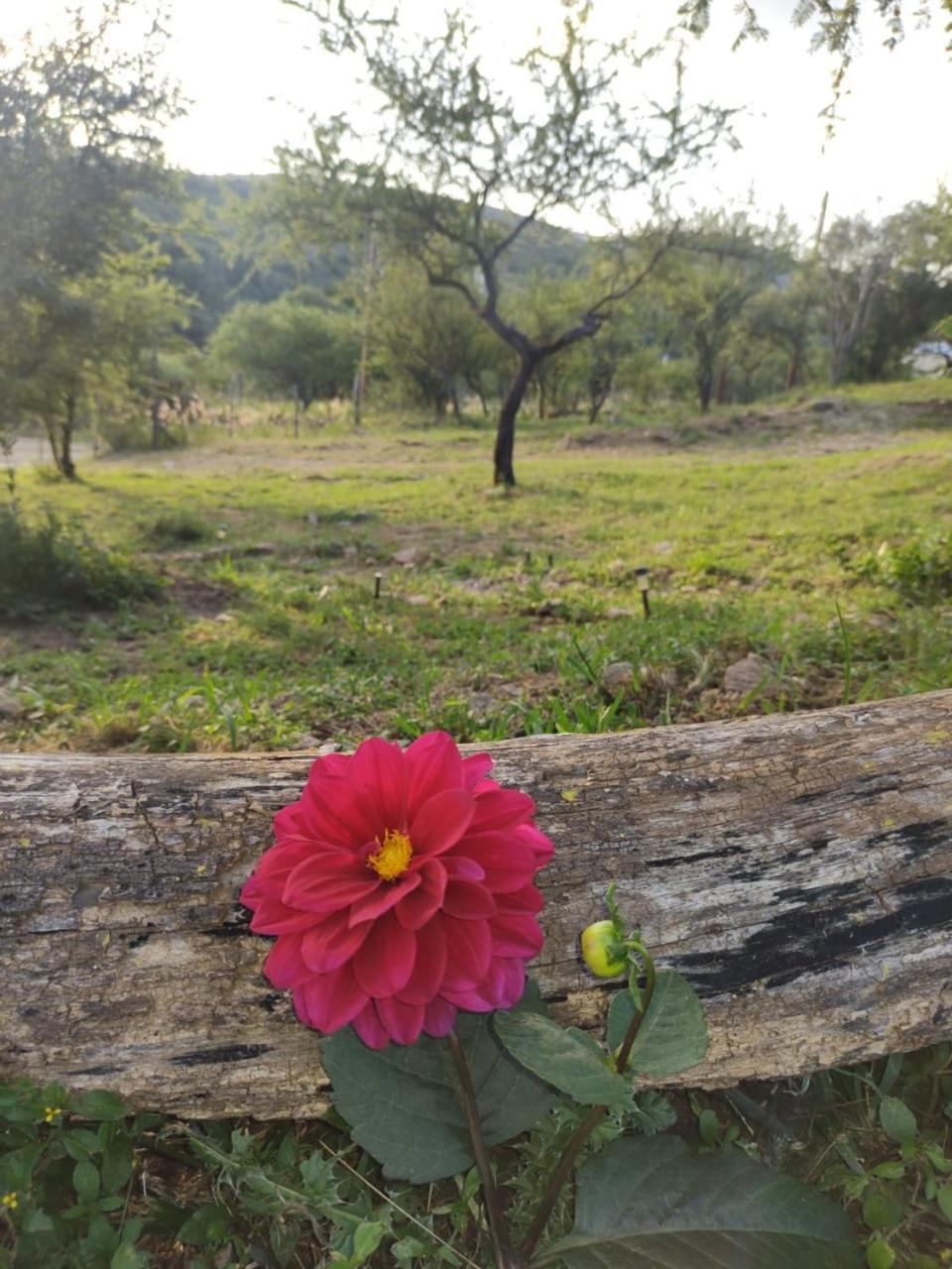 vistas del valle Cabaña