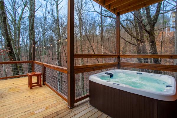Escape to Nature's Embrace - Indoor Pool & Theatre view 5