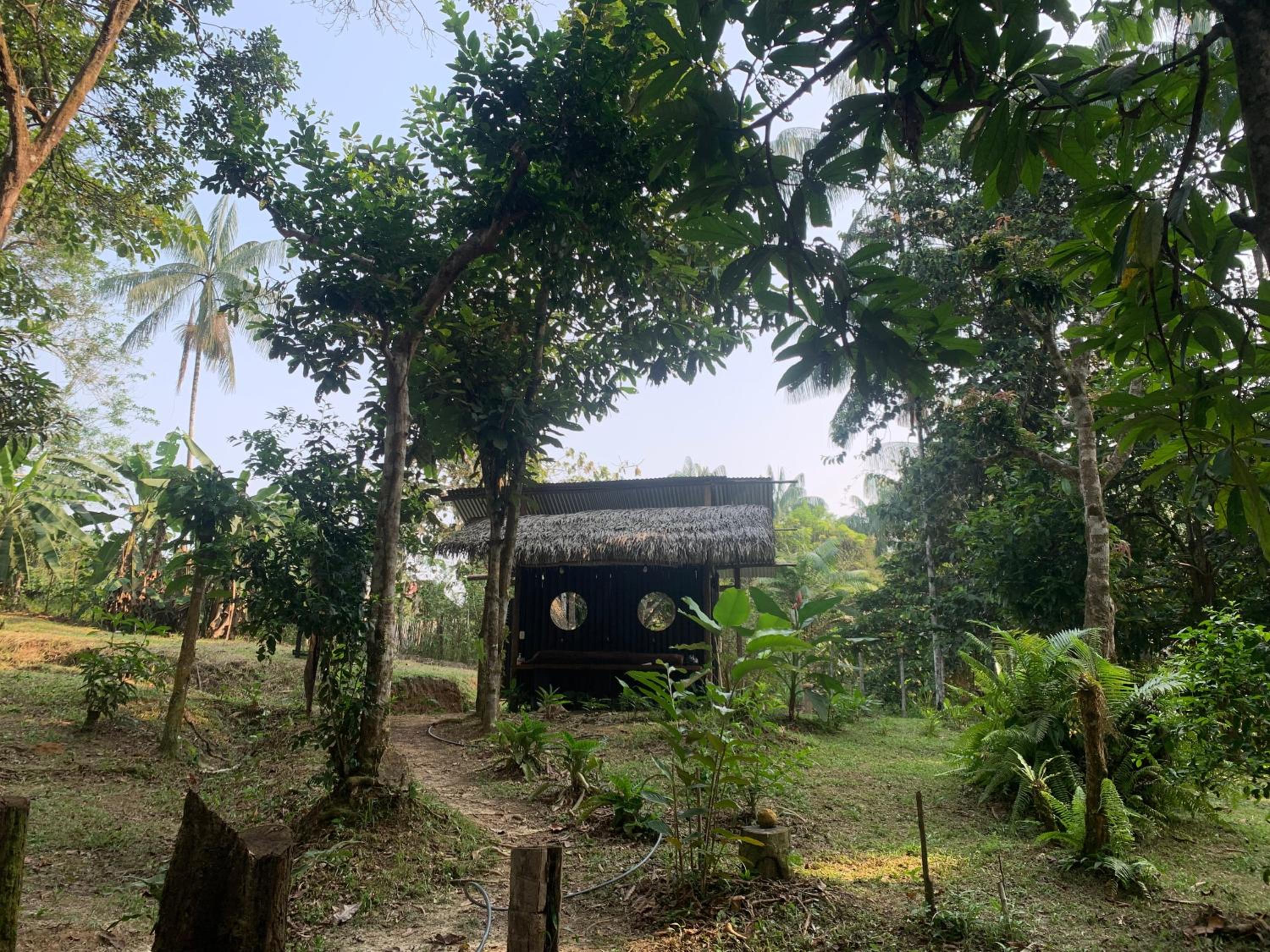Jungle Cabin - Satori Natural