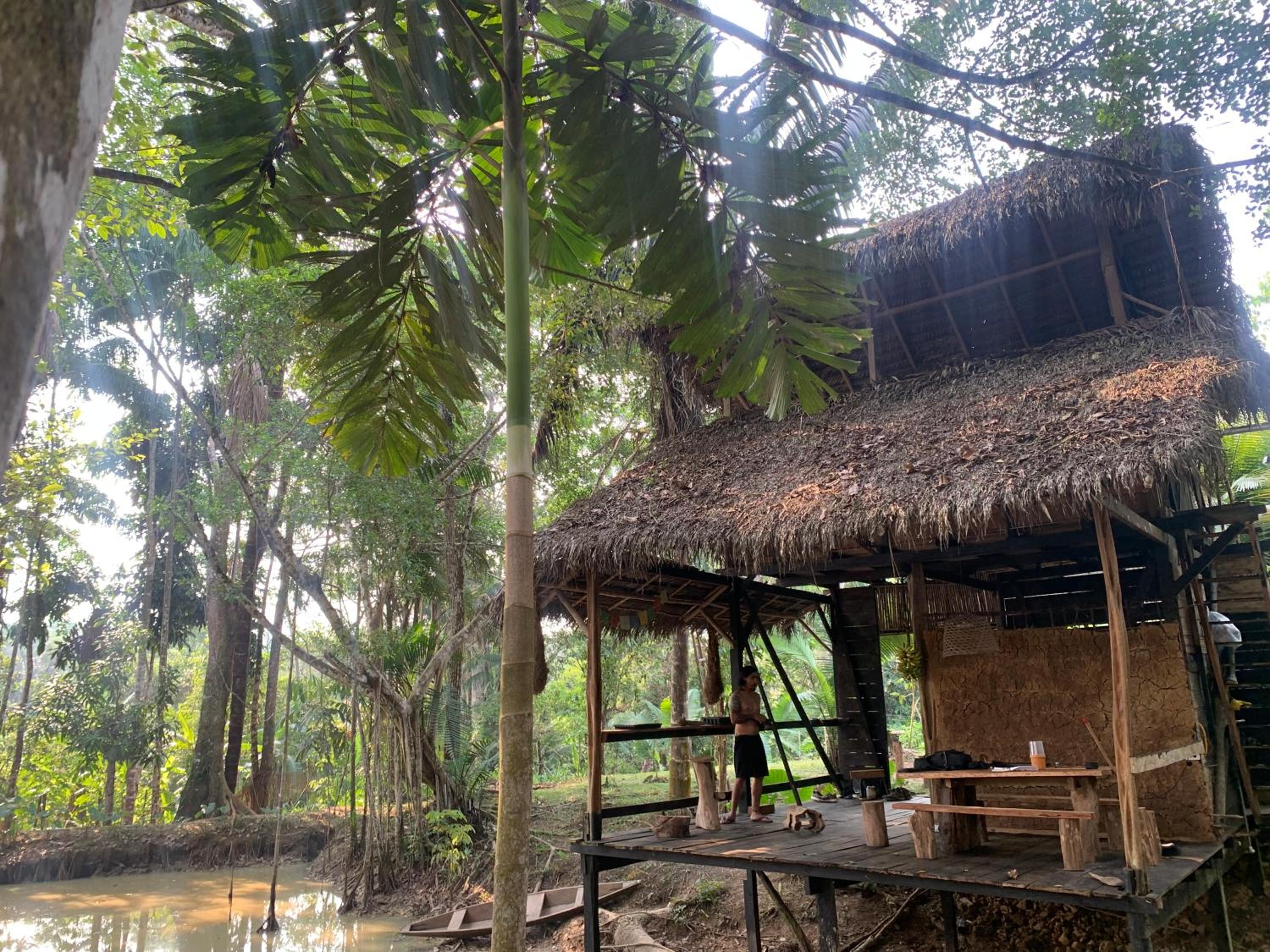 Jungle Cabin - Satori Natural