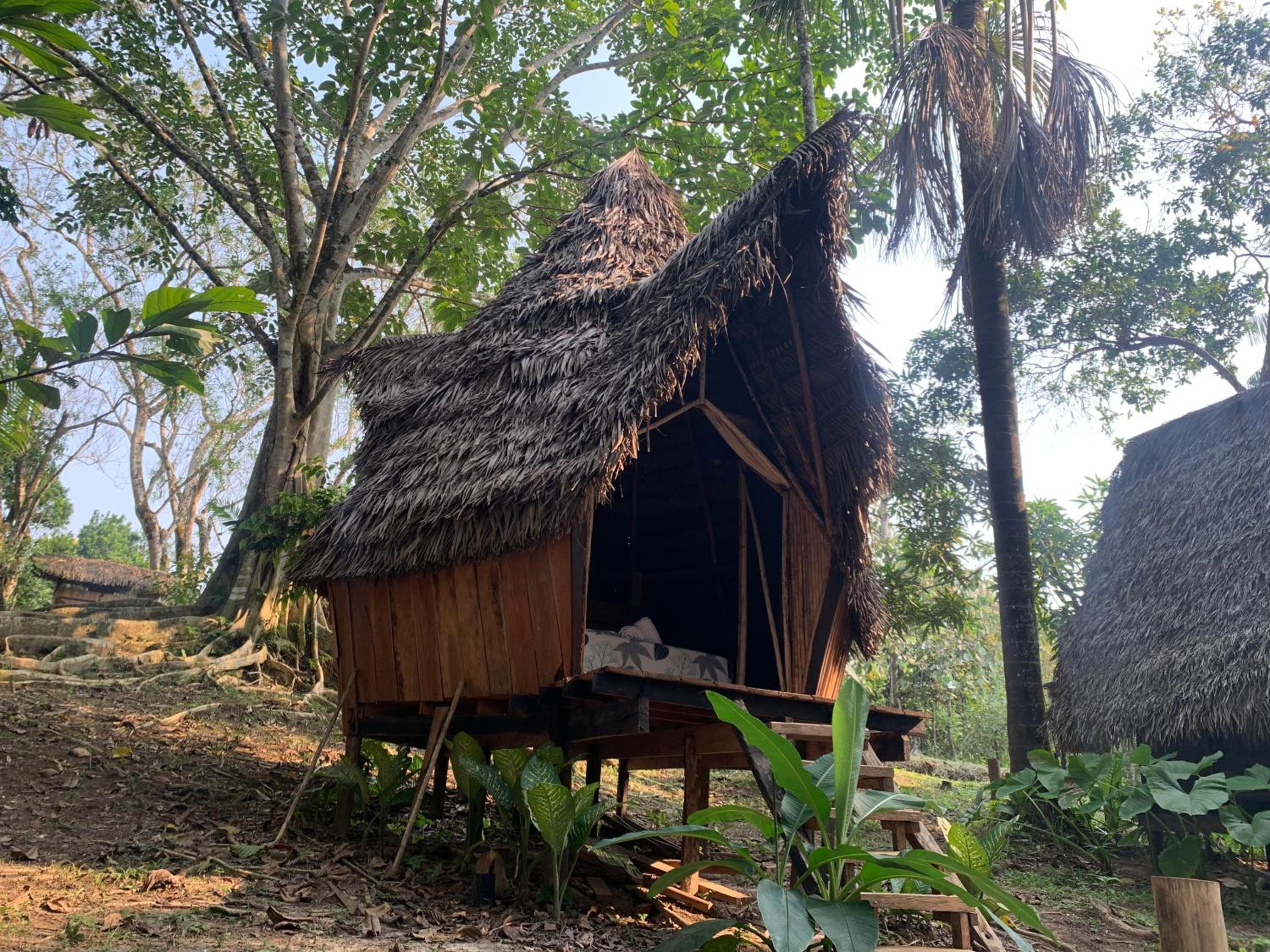 Jungle Cabin - Satori Natural