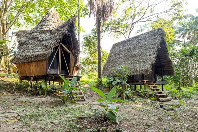 Jungle Cabin - Satori Natural