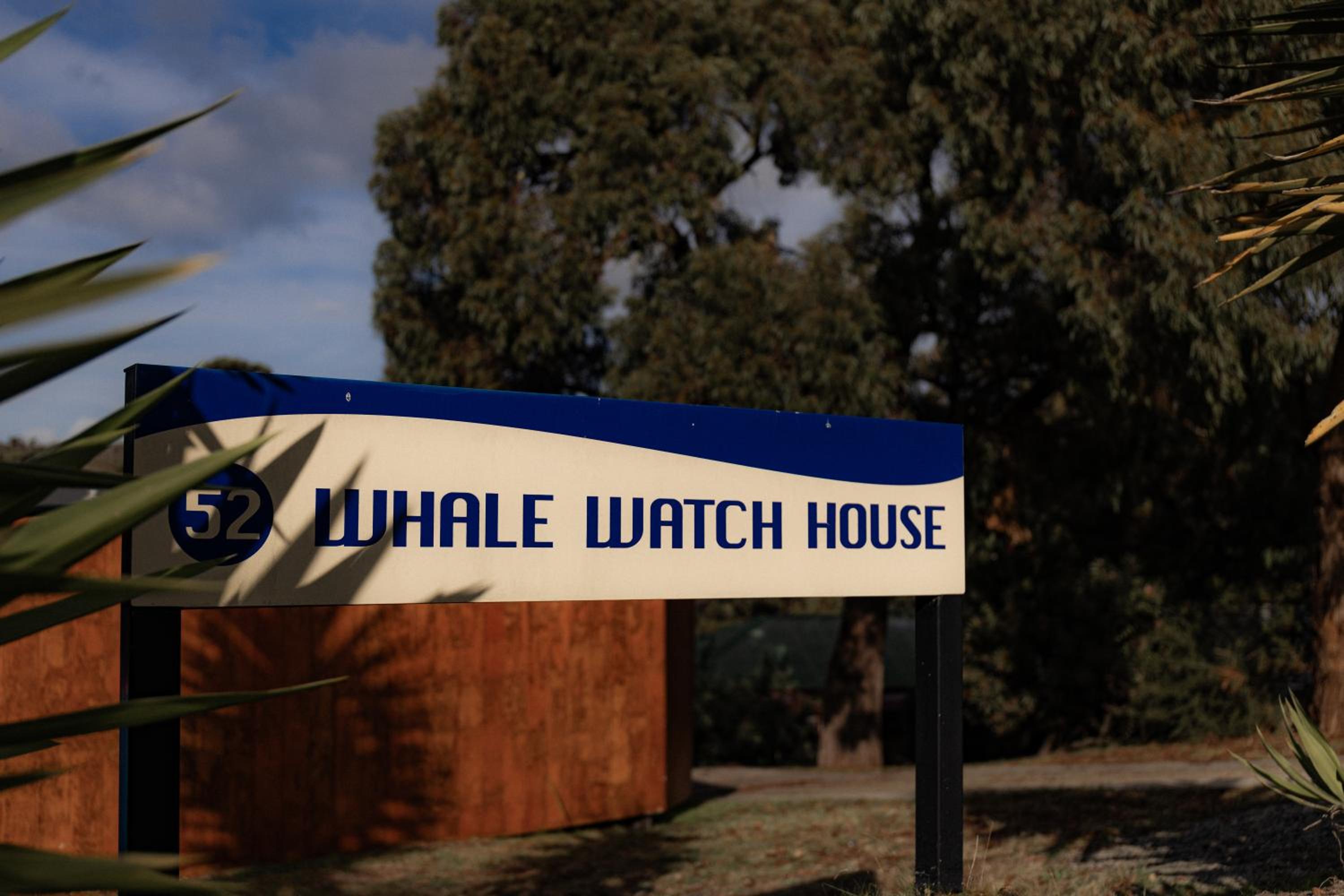 Whale Watch House