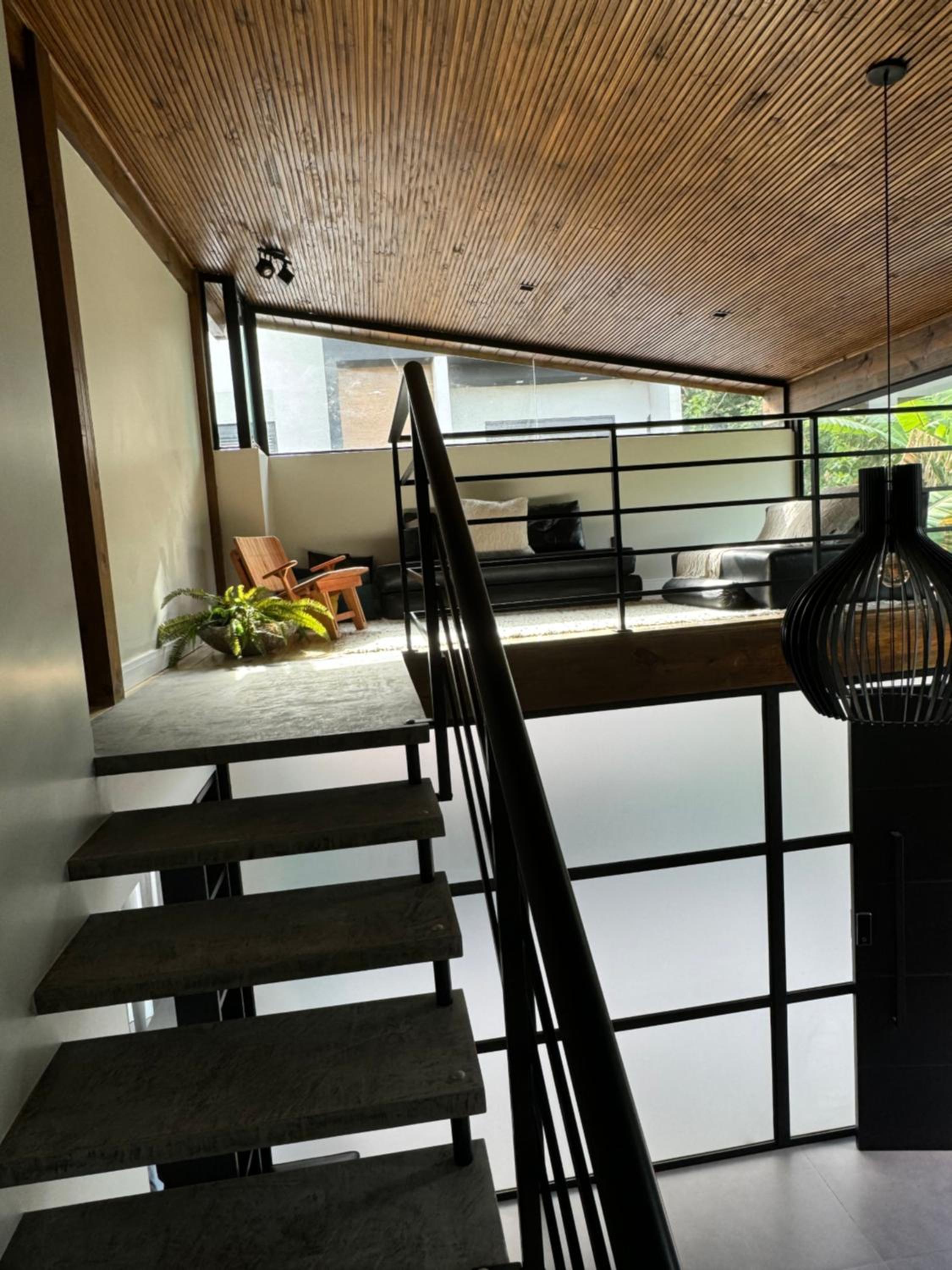 Monkey house