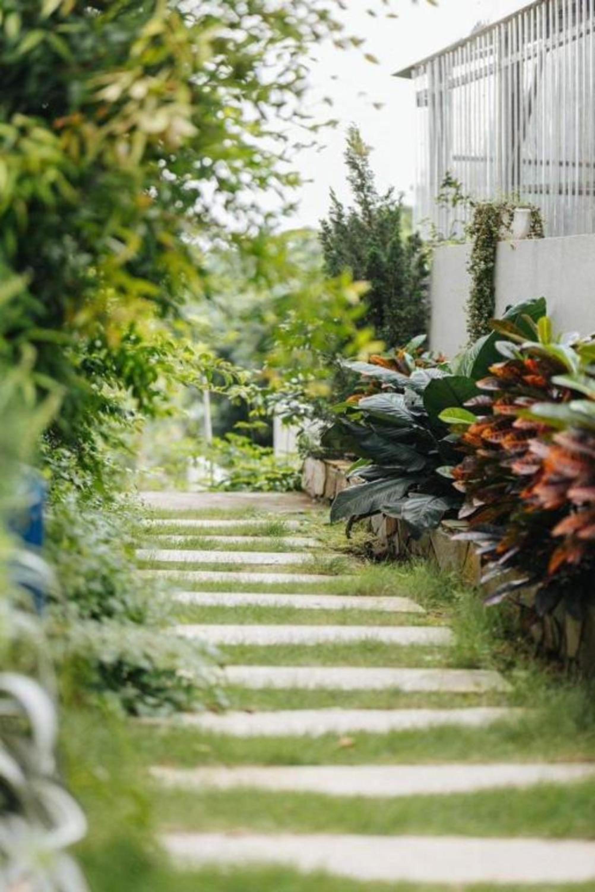 Velia Villa Venuestay