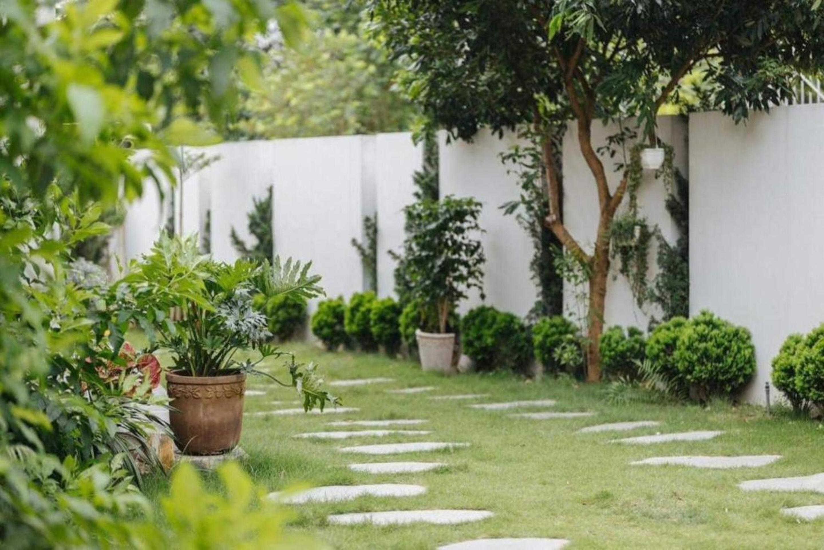 Velia Villa Venuestay