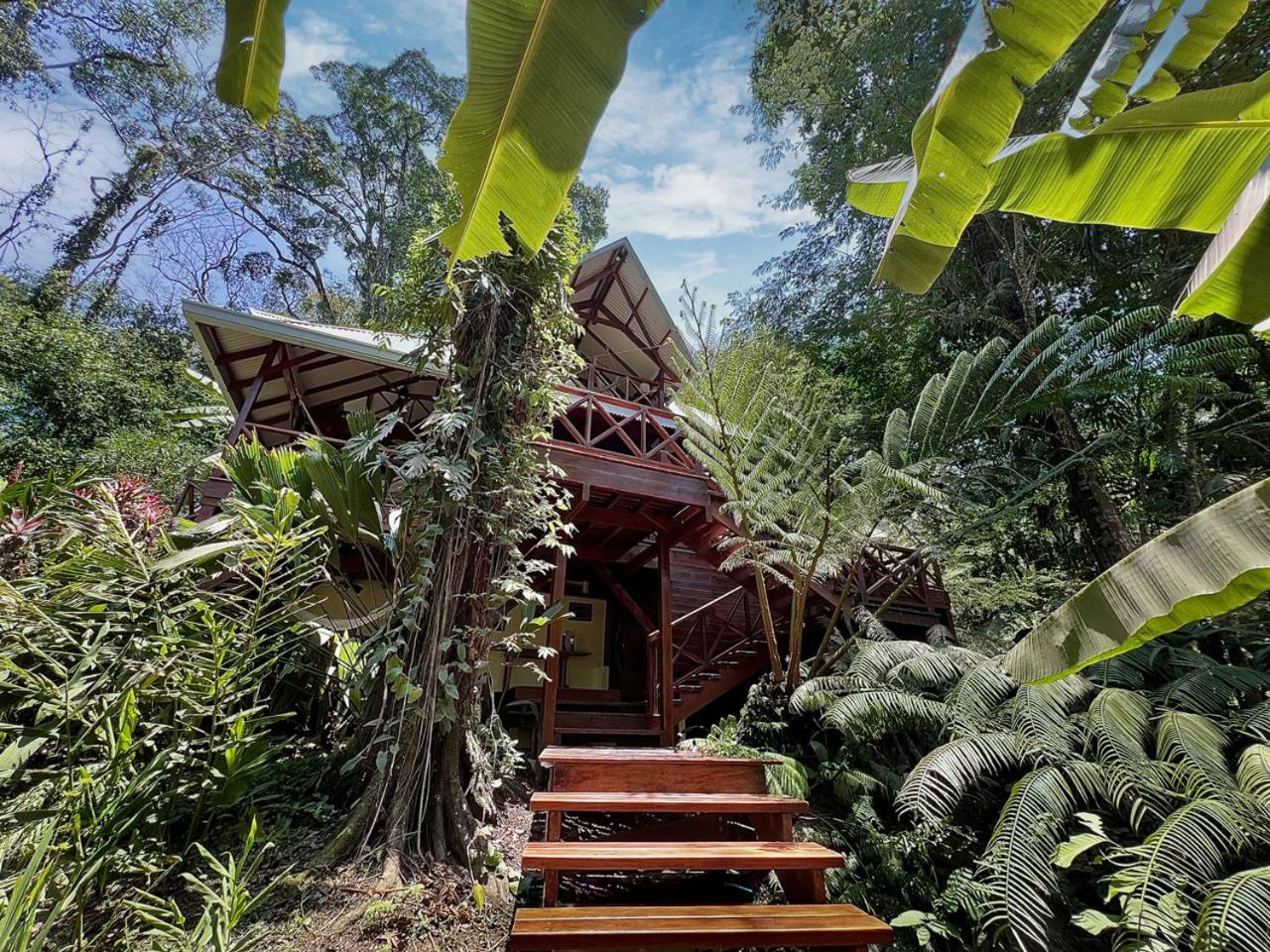 Villa Colibri - Secluded Villa - Short Stroll to Beach, Shops & Restaurants