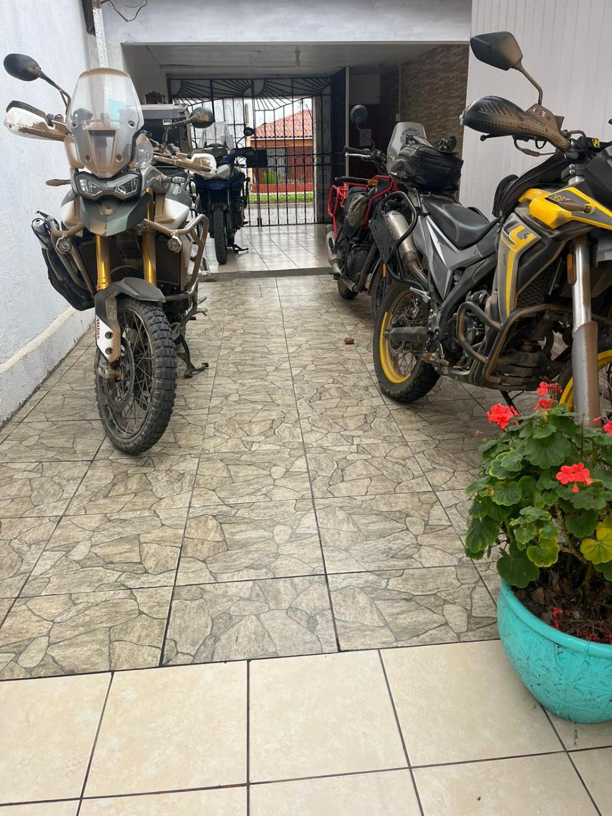 Hostal Avenue