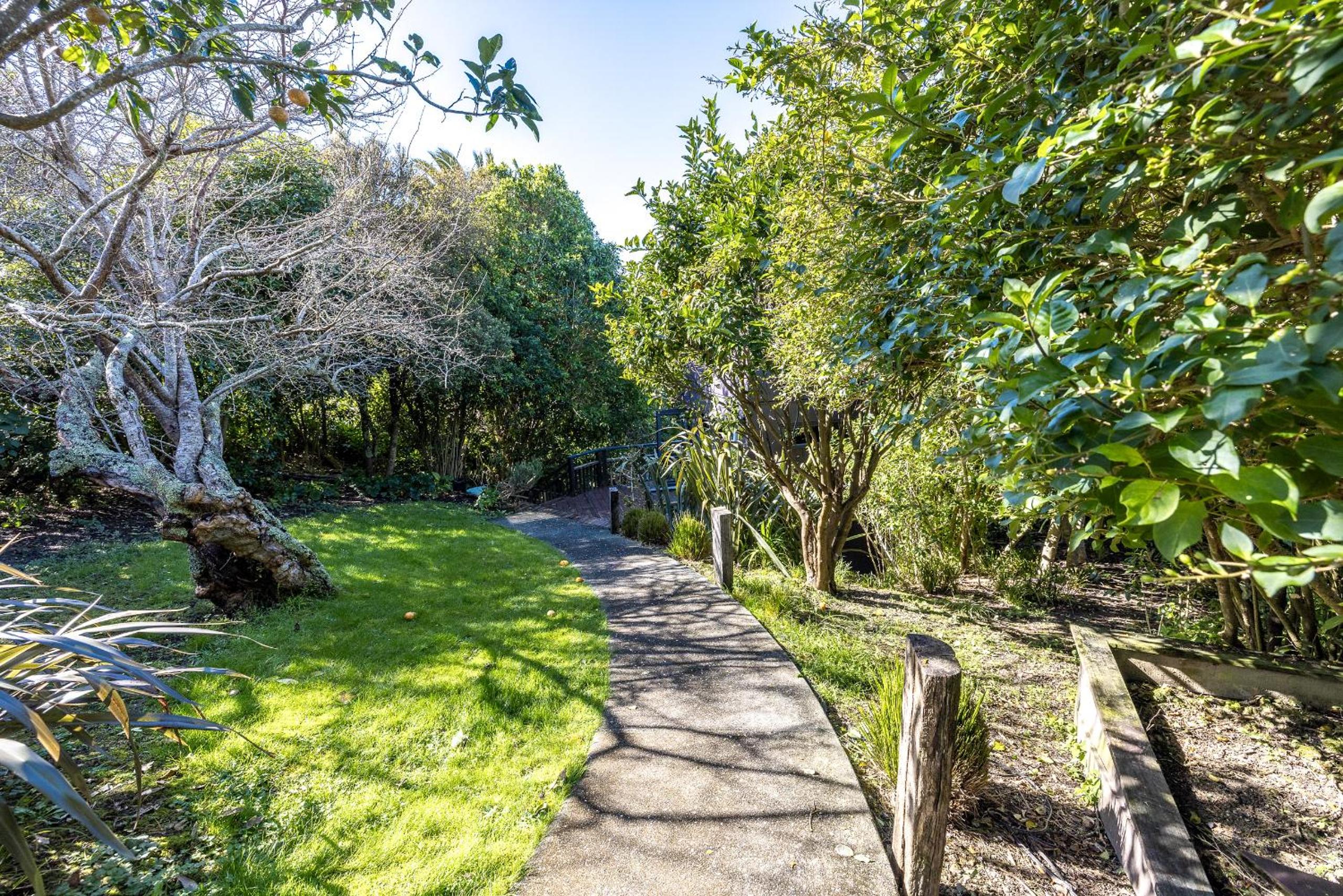 The Treehouse, Oneroa, Waiheke view 4